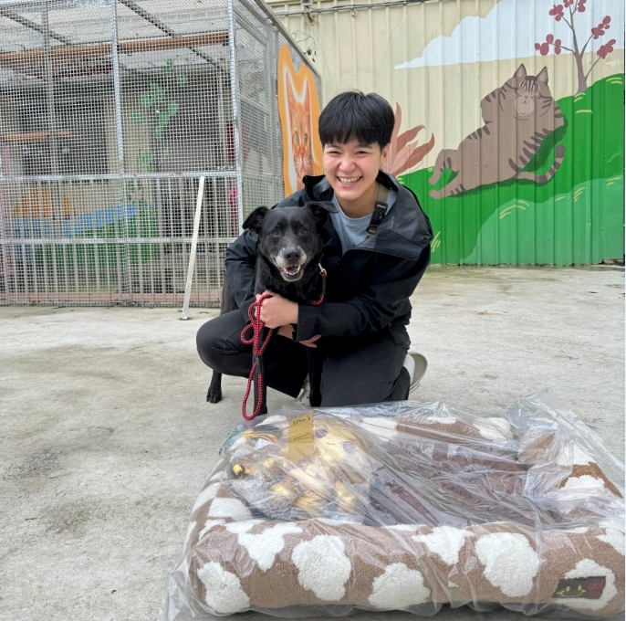 熟齡毛寶貝是很棒的選擇