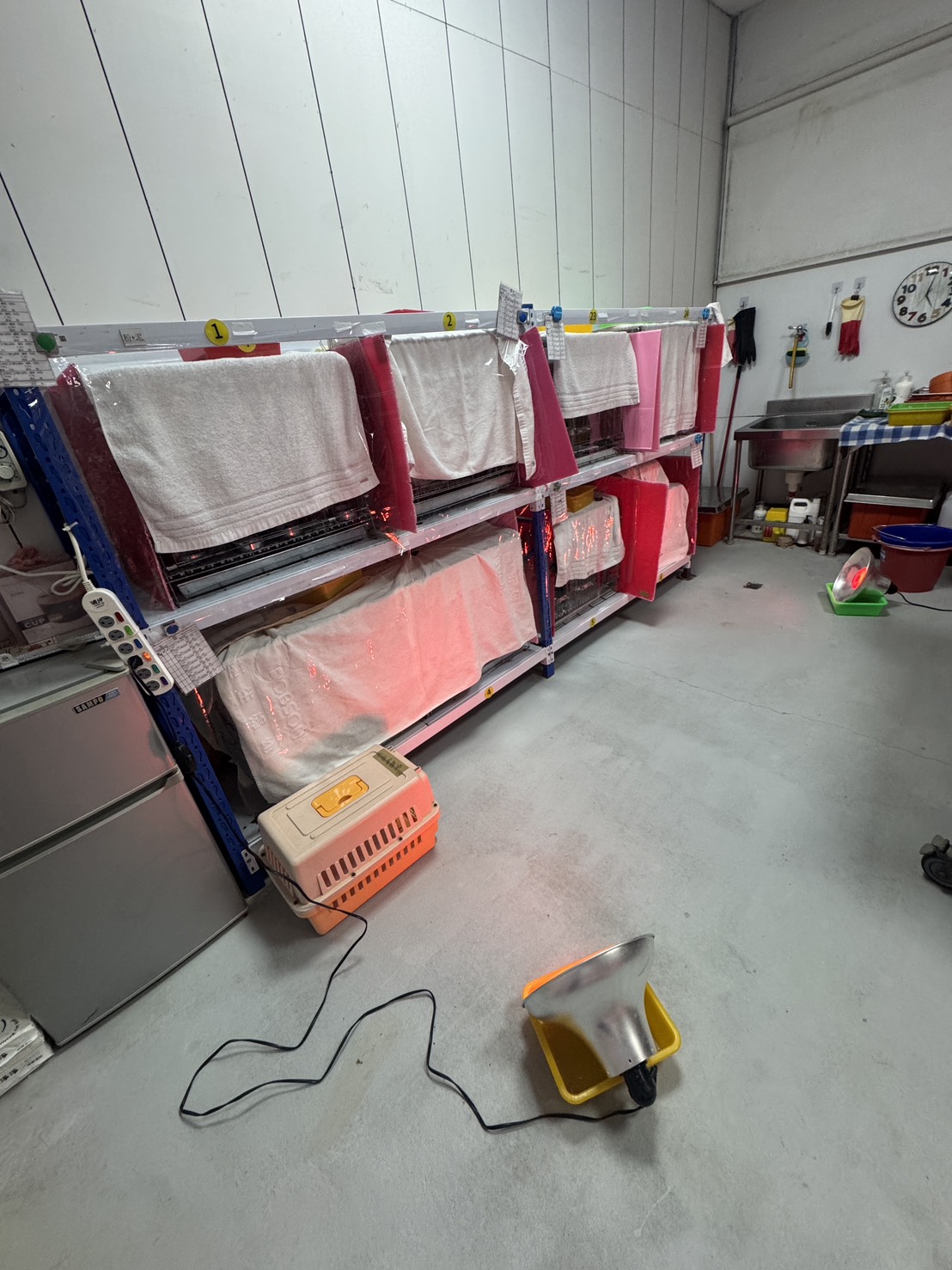  繼續嚴格執行「三段式控溫防寒機制」