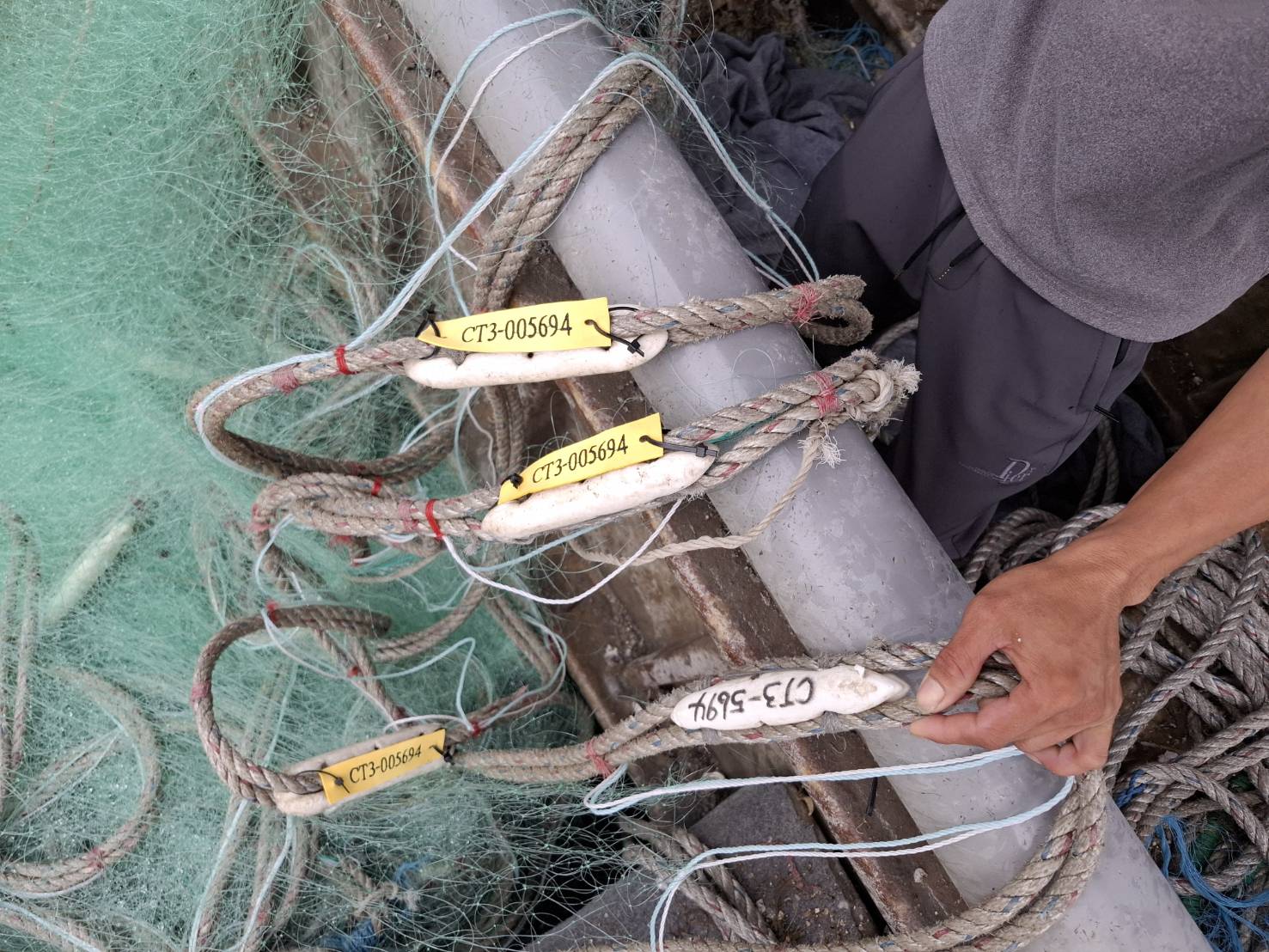 新北市漁業處致力推動刺網漁具實名制