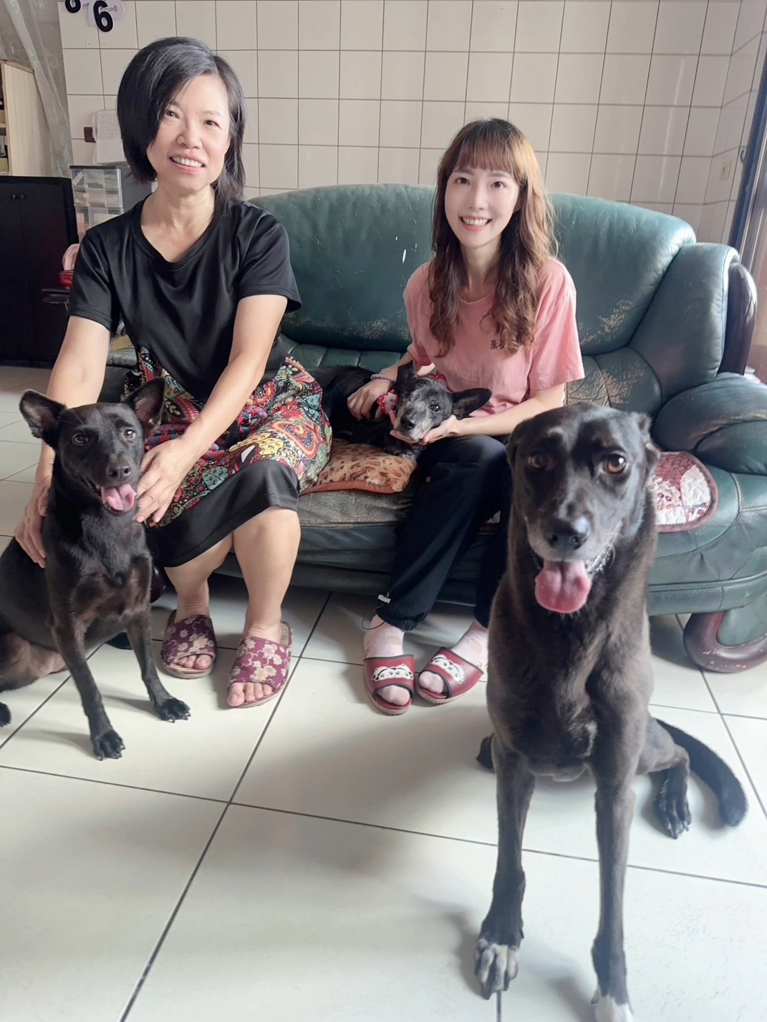  江婉綺與志工們協助照顧及認養