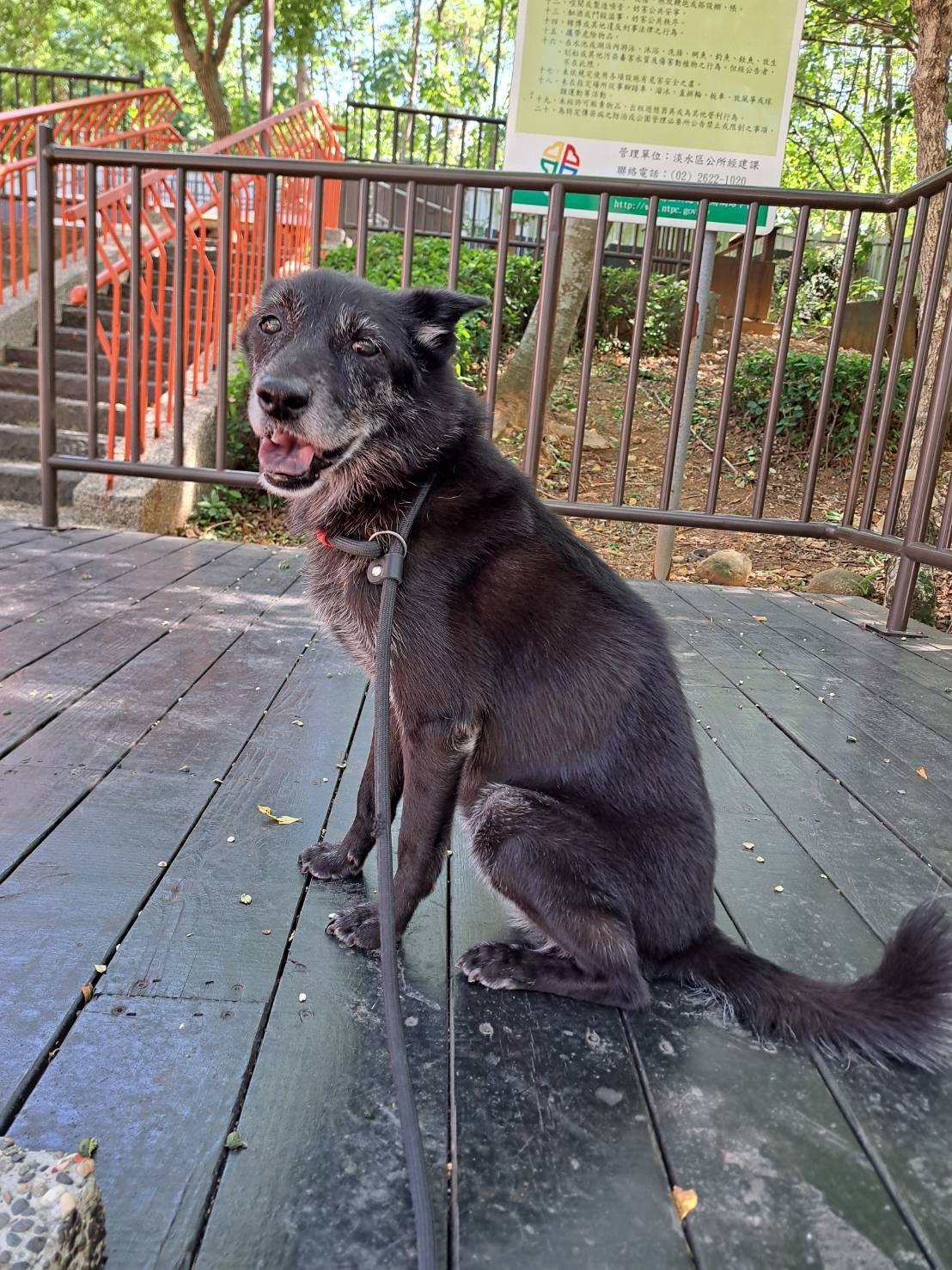 圖片來源:新北市政府