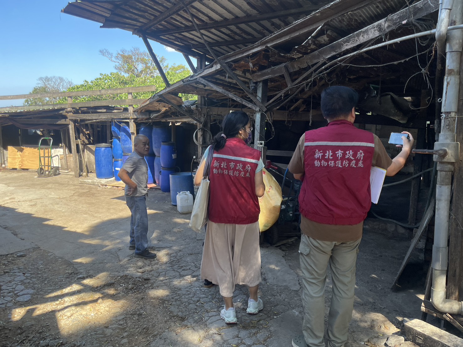  聯合稽查未登記非法養豬場