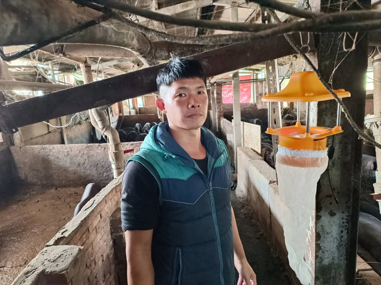  動保處提供捕蟲燈減少疫病傳播風險