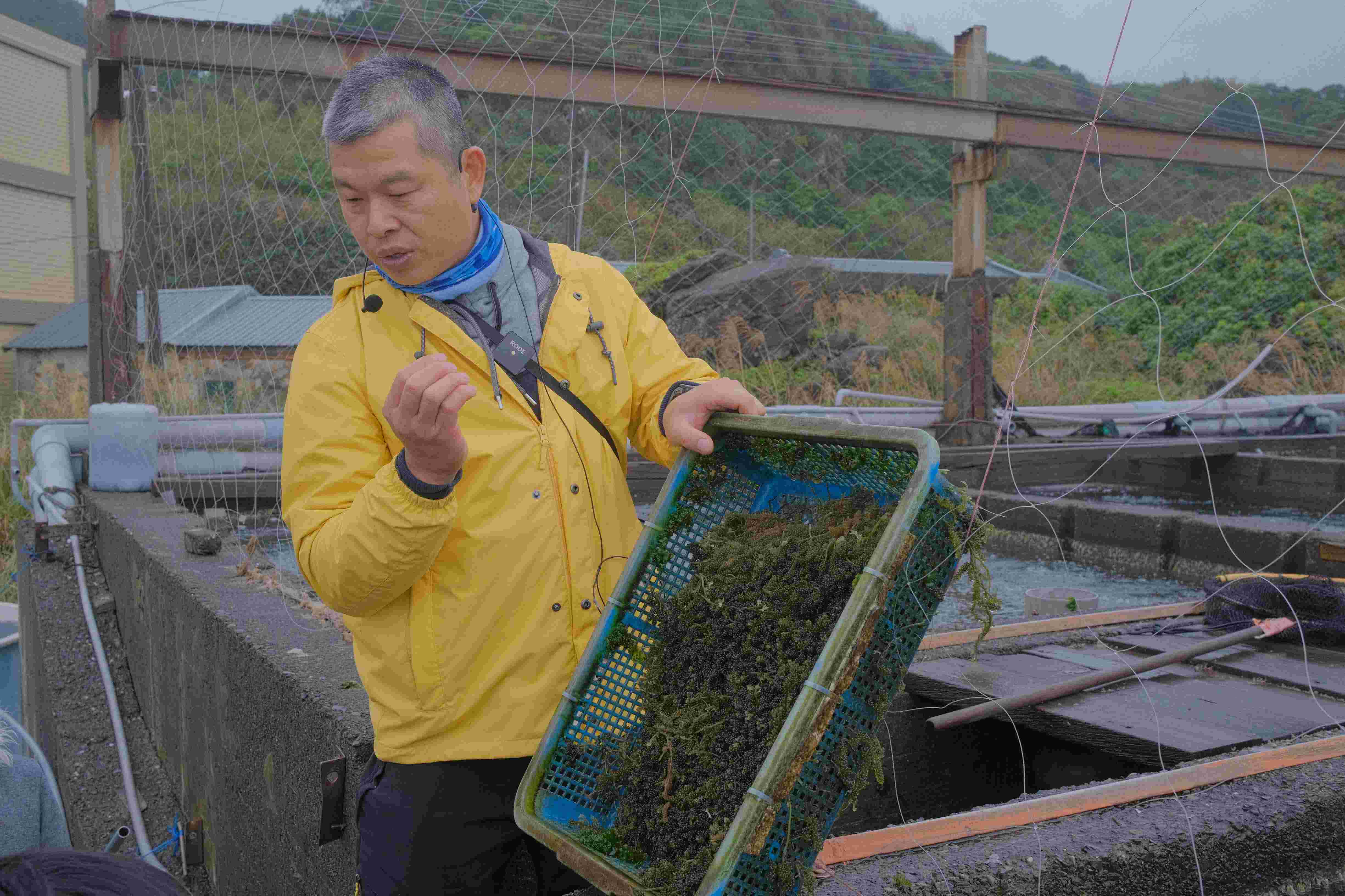  「鮮物本舖」活化既有養殖池，使民眾近距離了解海洋資源利用與永續漁業