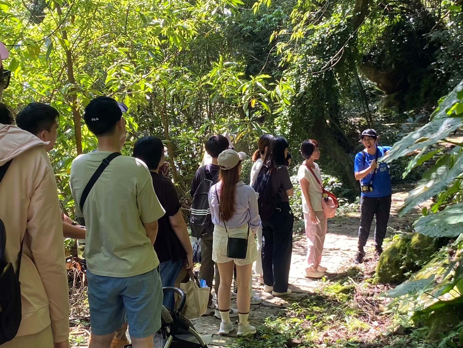 石碇烏塗社區步道植物解說