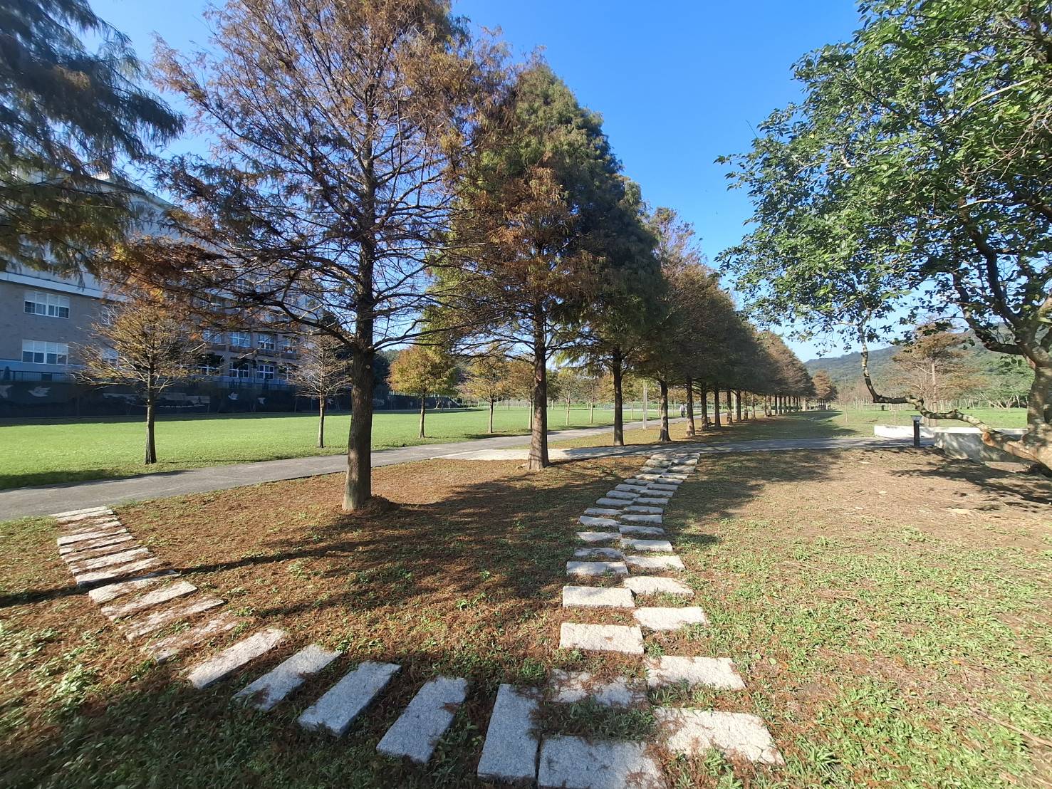  貢寮環保公園內開闊草地與林蔭交織，營造出悠閒漫遊氛圍