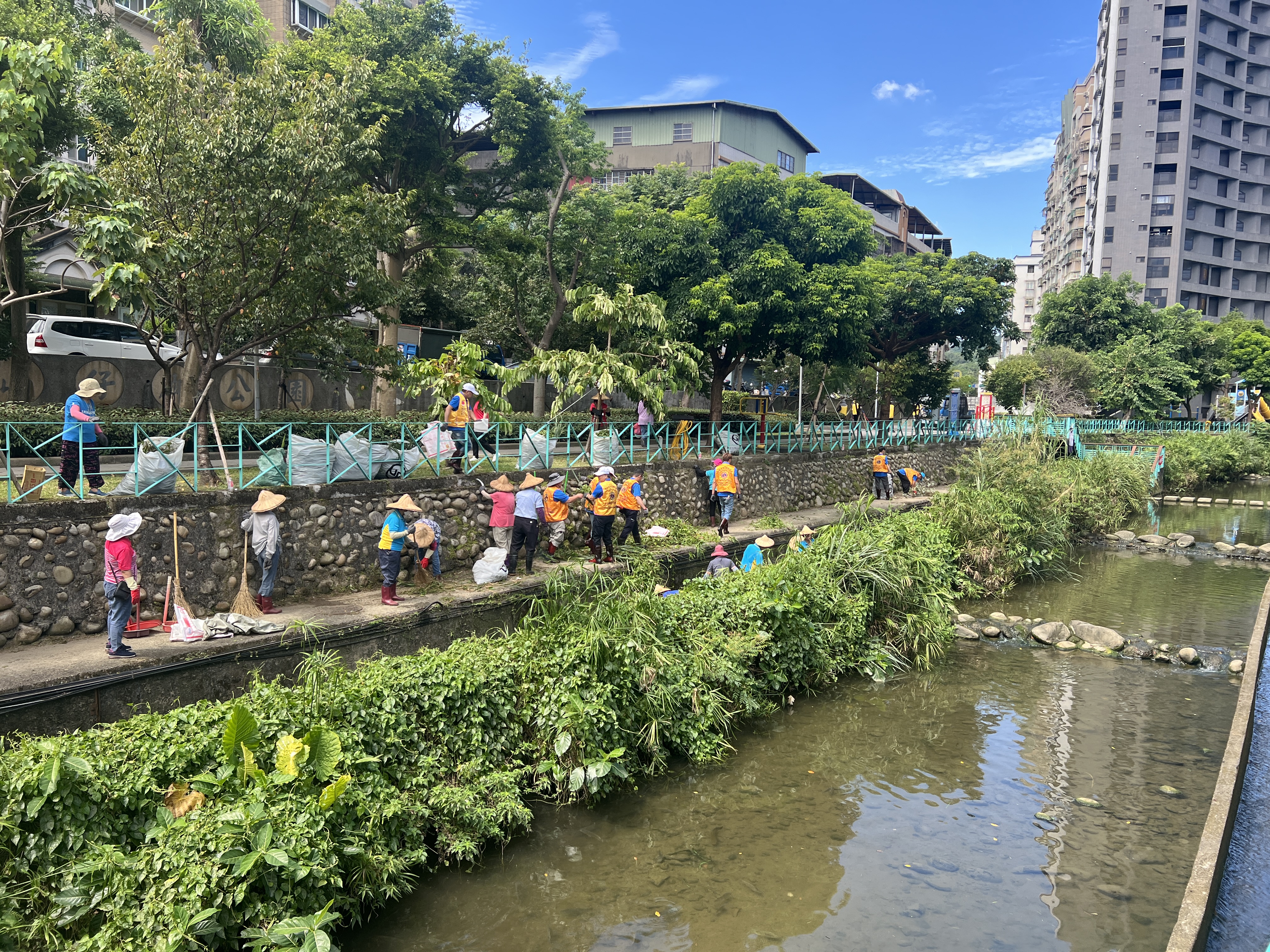 樹林區中山里水環境巡守隊於鹿角溪淨溪情形