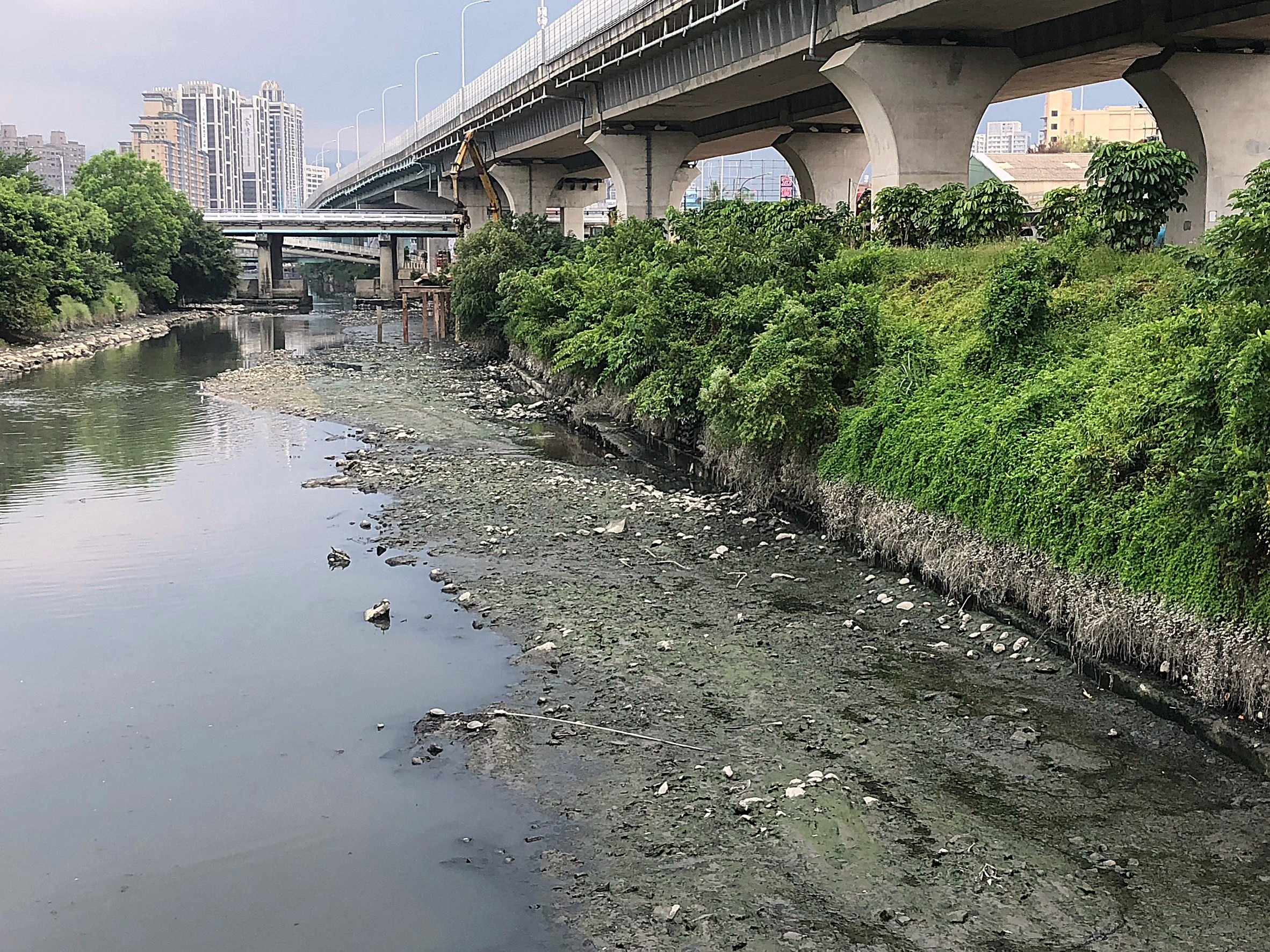 早期湳仔溝的沉痾髒臭不斷