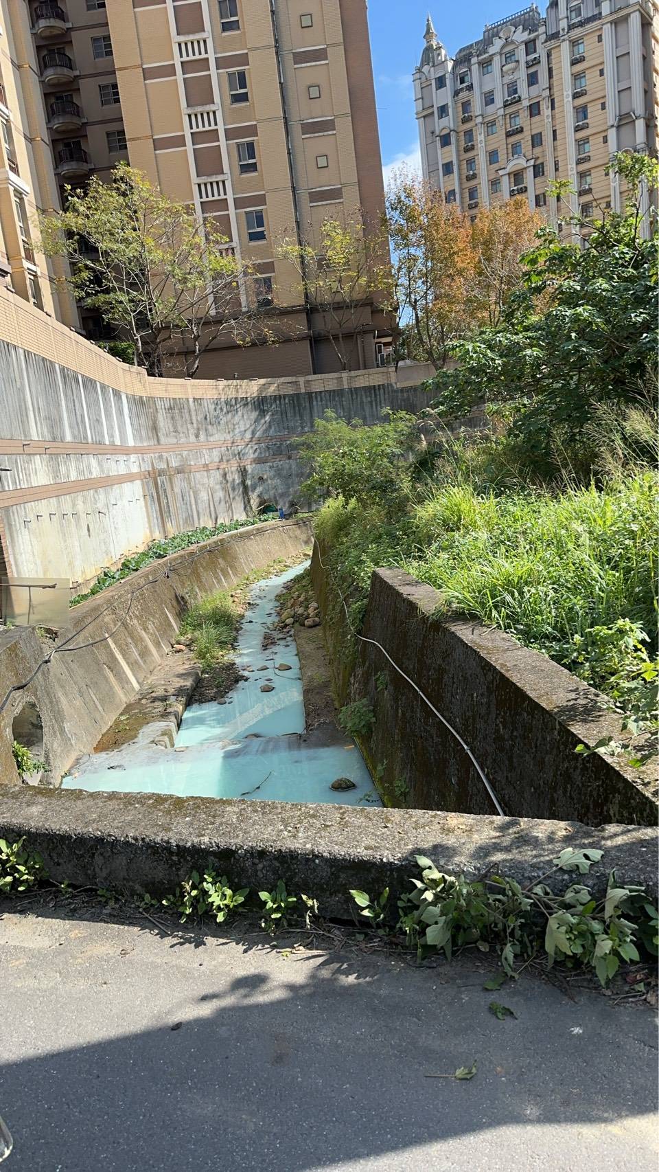 五股坑溪異常變色