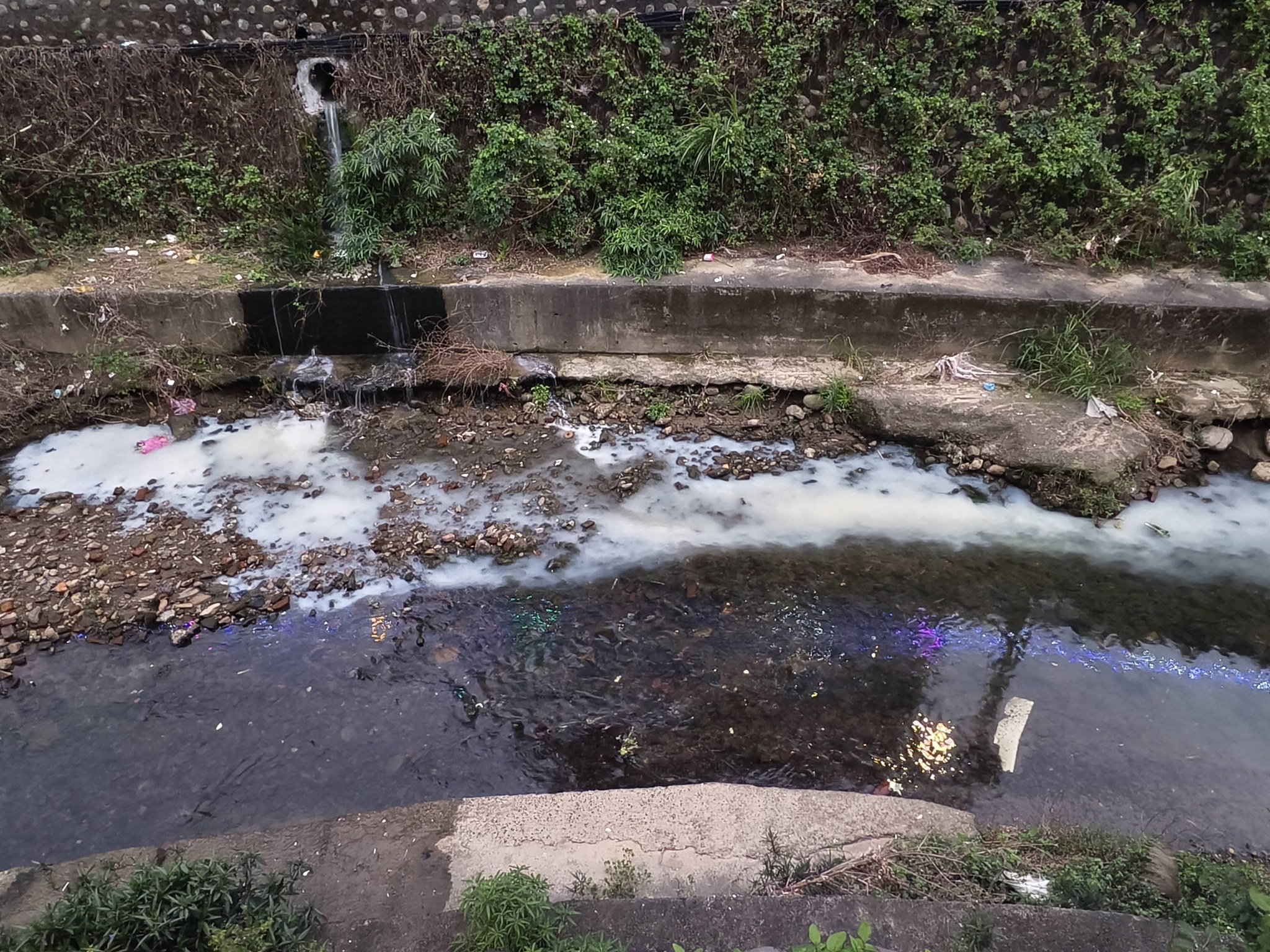 民眾反映五重溪染色提供之照片