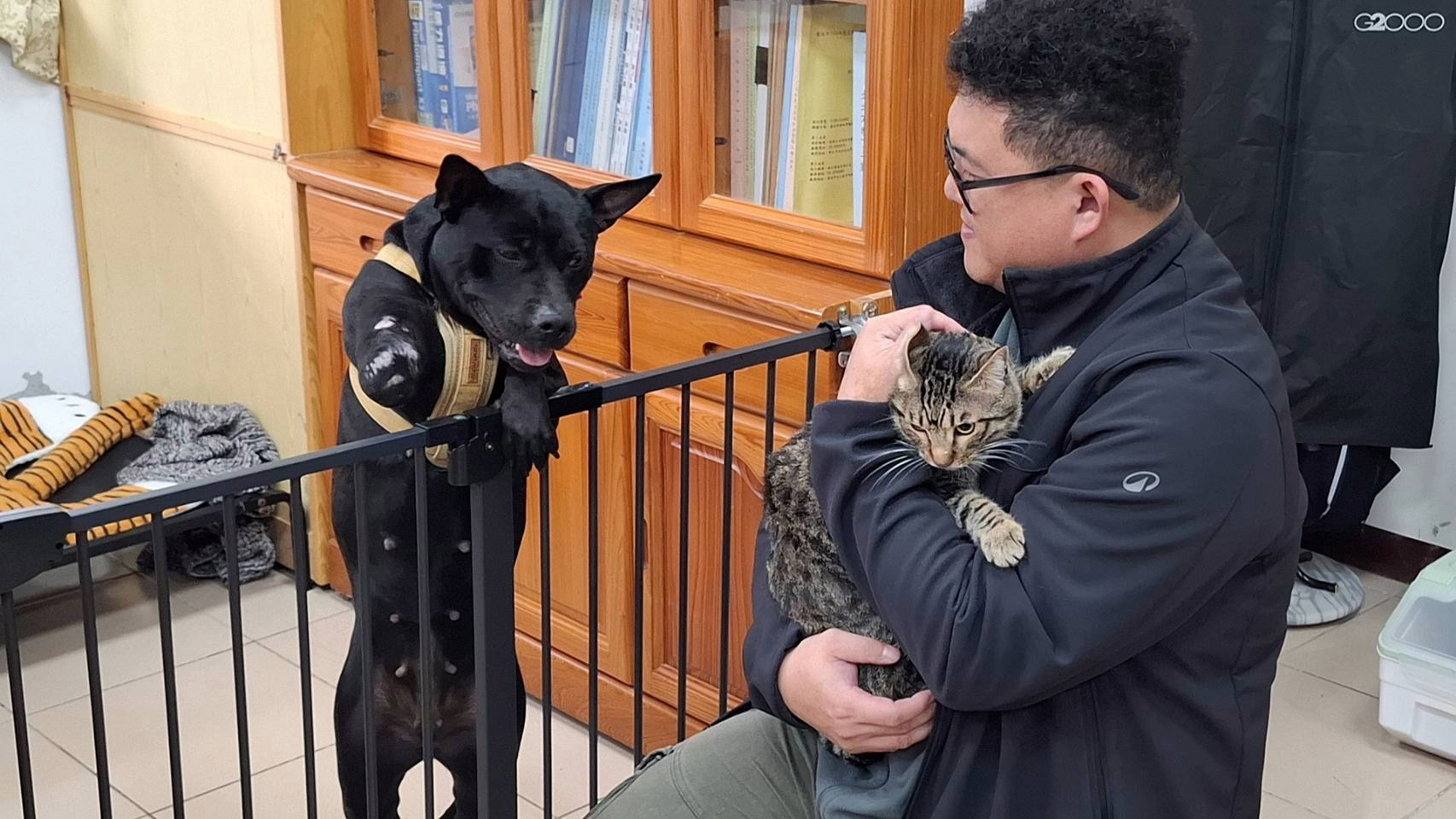 訓體組長楊忠傑抱貓老和校犬安生互動