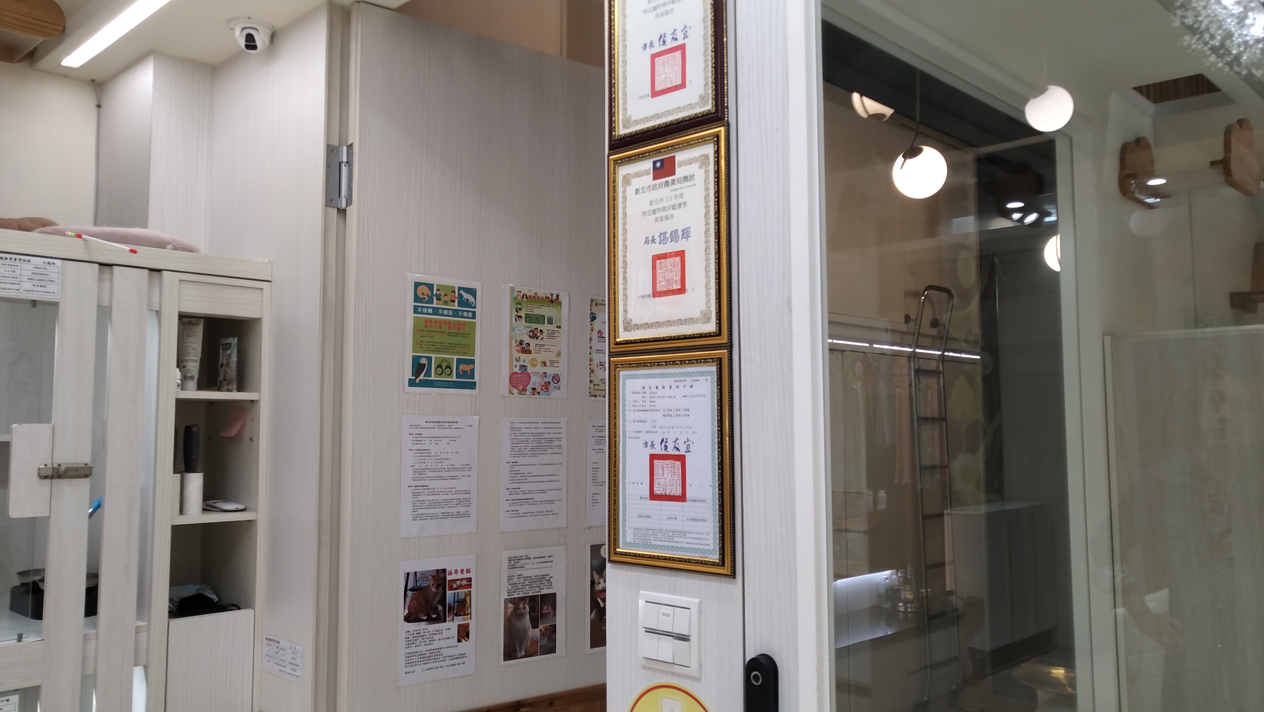  民眾慎選有特定寵物許可證合法經營店家