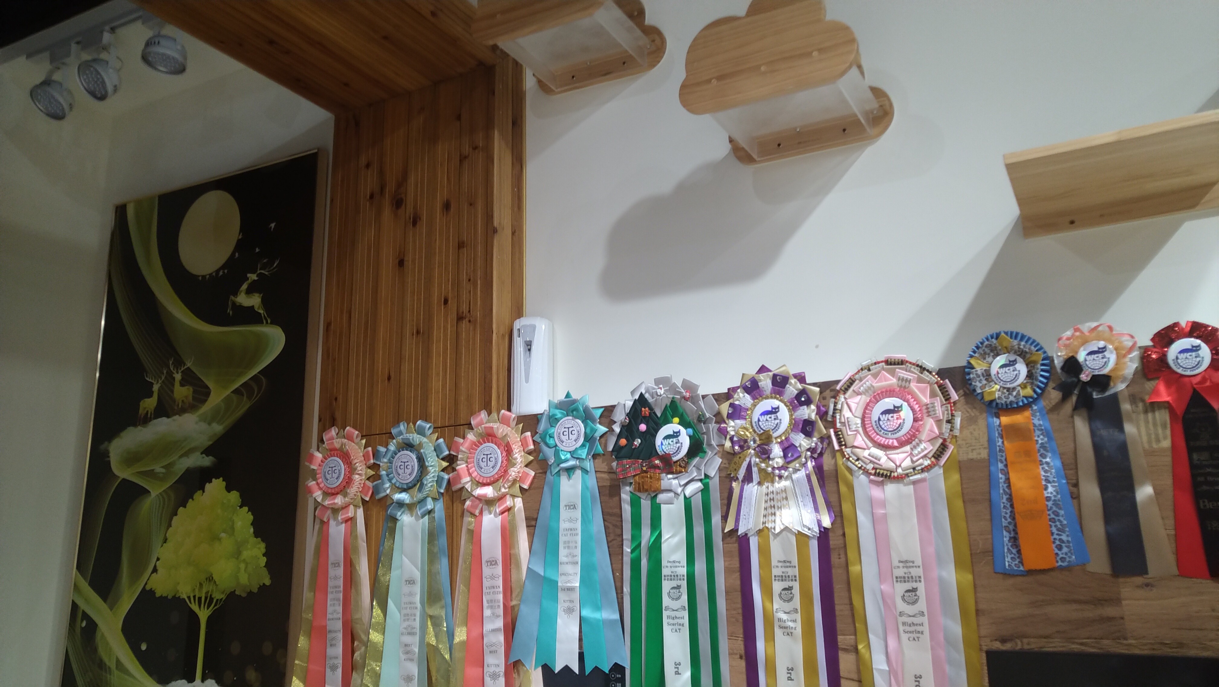  寵物買賣選擇有比賽績優的健康動物舍