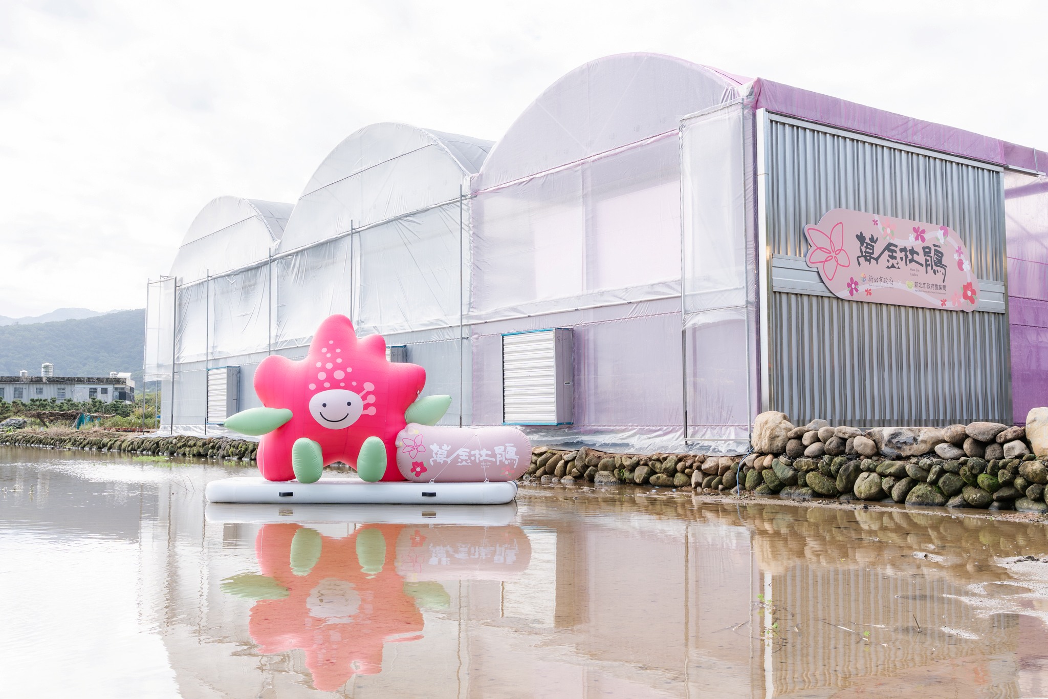 新北市輔導花農打造融合美學的智能環控溫室，提供更具工作效率、美感與舒適的生產環境，杜鵑色系粉紅色與白色為主的溫室外觀，也塑造出令人過目不忘的品牌地標