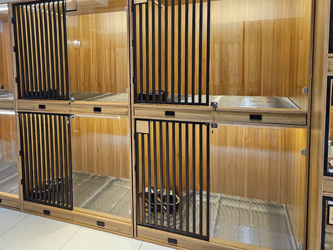  明亮寬敞的大空間是每個毛寶貝的幸福(非本案例照片)