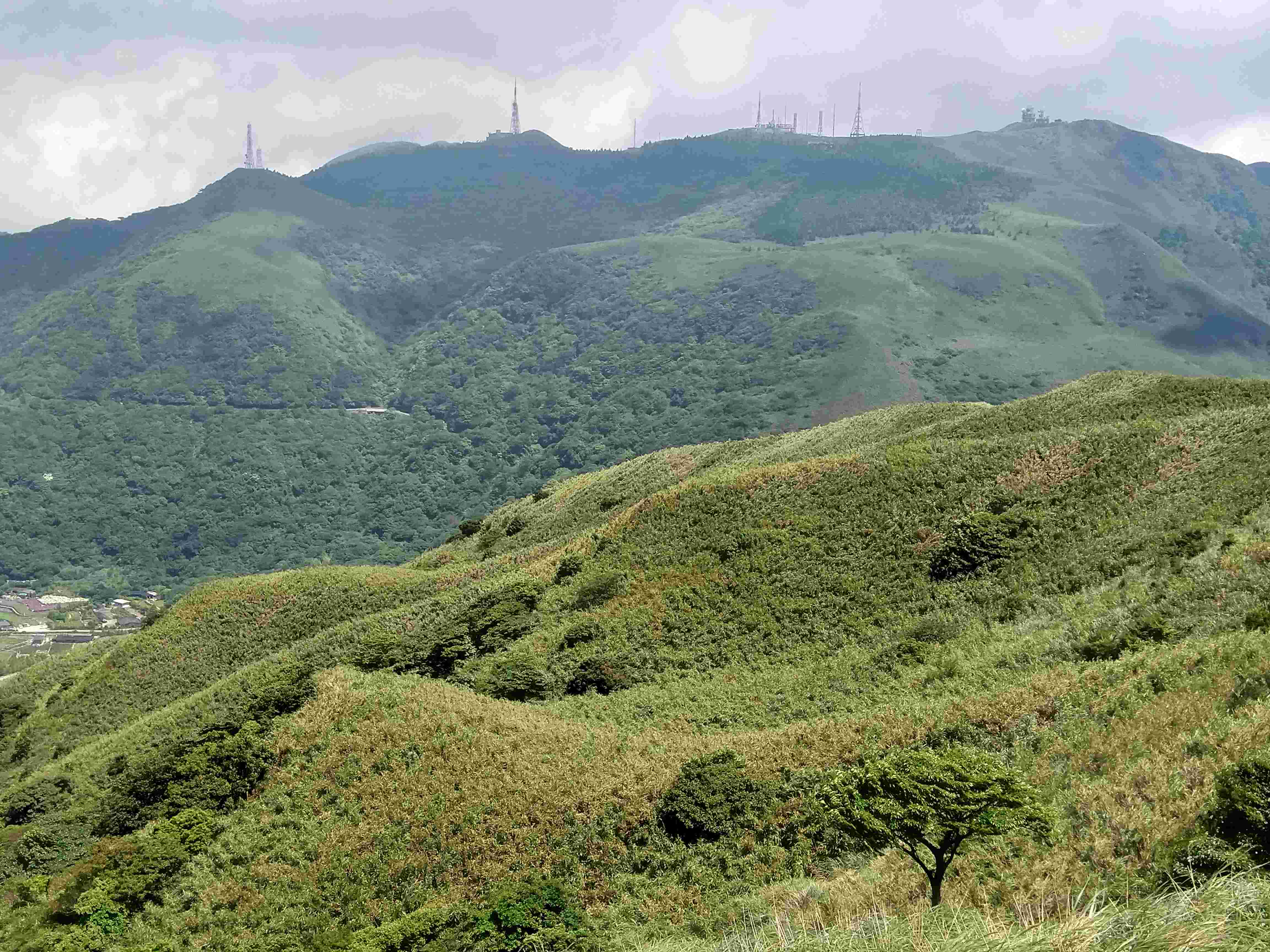 採摘箭竹筍對陽明山周邊居民是重要經濟活動，每年皆吸引許多在地民眾申請採筍證，故遵守相關規範使竹林能永續經營