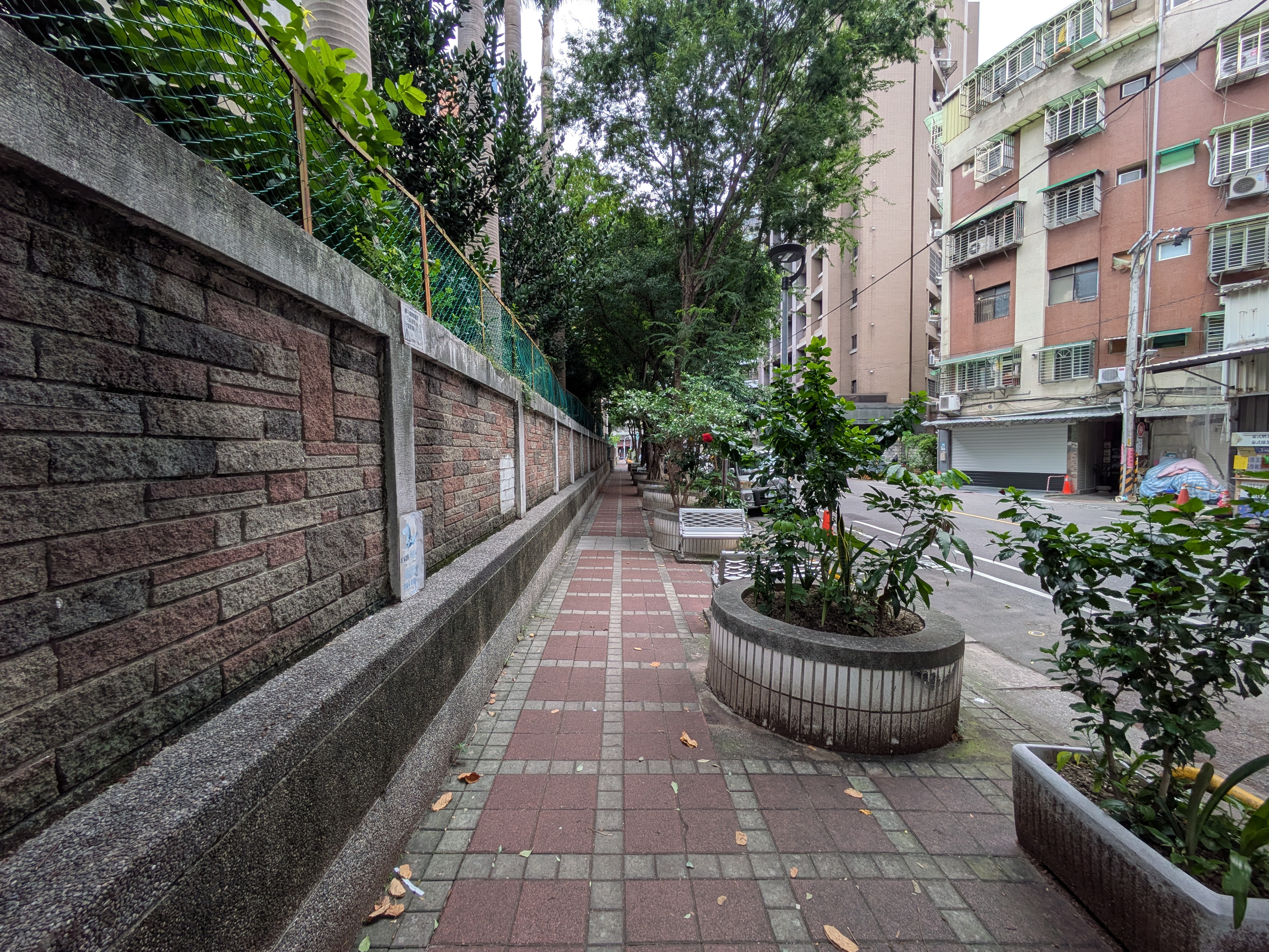 養工處改善三重區永福國小周邊人行道，移除植栽等障礙物，並拓寬行人空間，創造優質通行環境。圖為改善前照片。