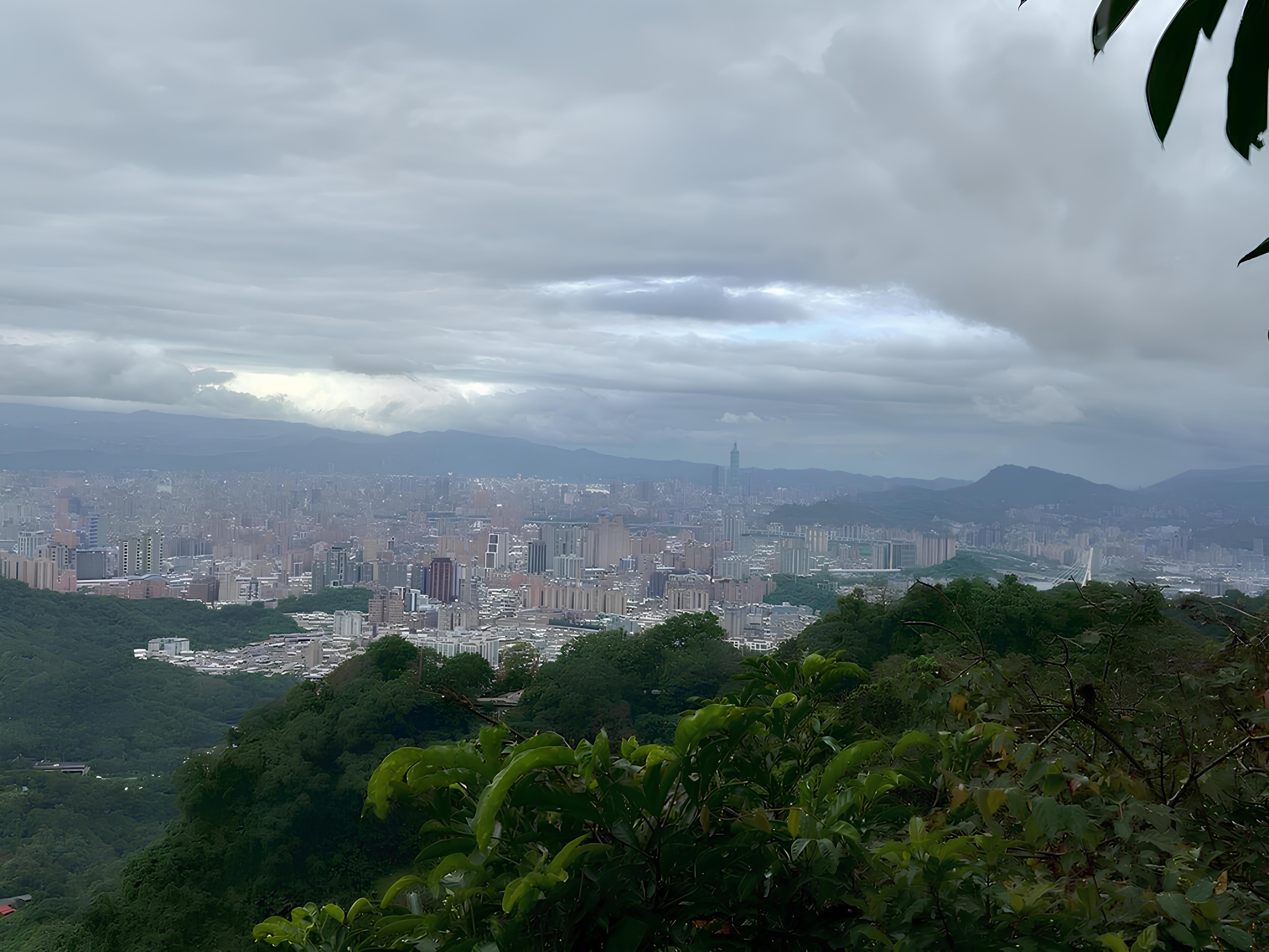 最美城市觀景台！烘爐地山步道輕鬆健行，飽覽台北101大樓極佳視野