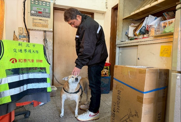 專屬妞妞的獨立空間可以好好休息