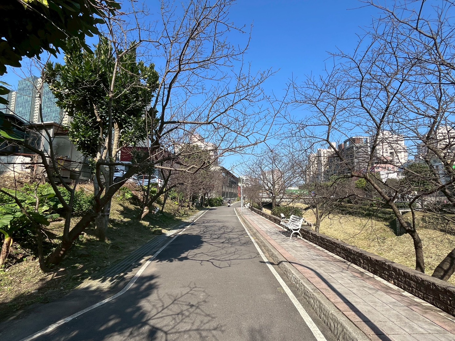 康誥坑溪沿岸步道環境優美，歡迎市民前來散步休憩