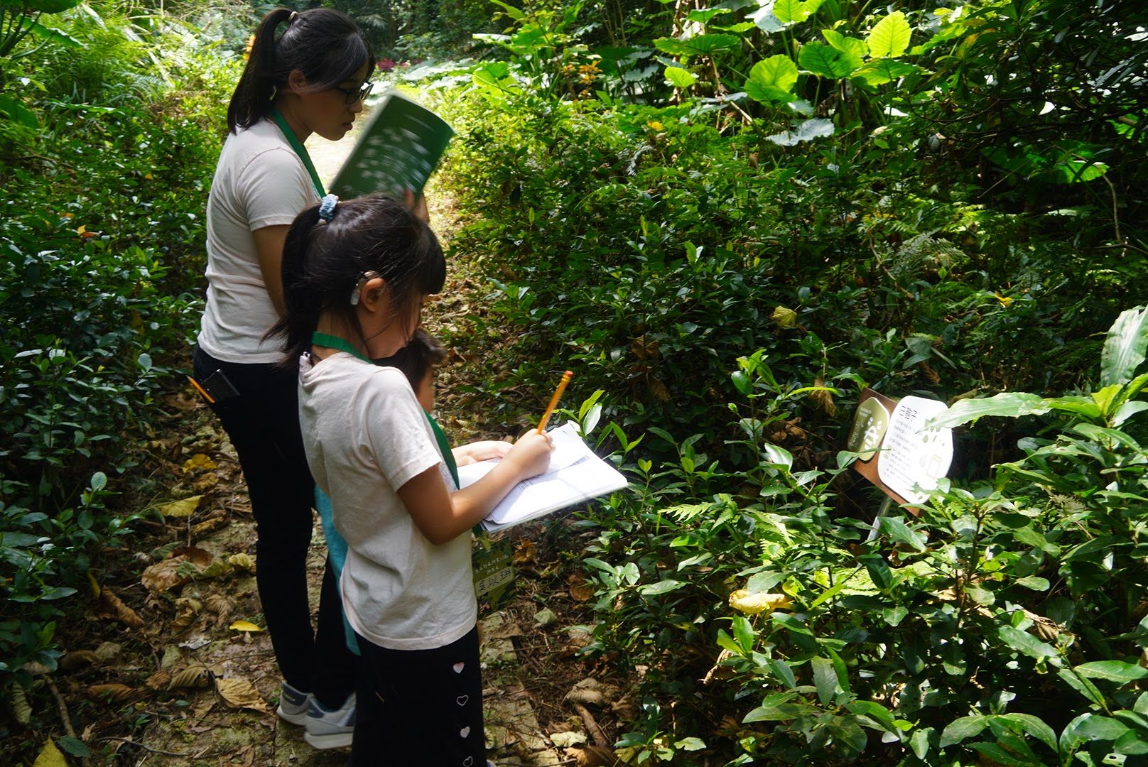 青農張哲岳以「定向越野遊戲」概念創新設計出自主導覽套裝行程，遊客可以拿著手冊按圖索驥，找尋園區花草並紀錄植物在四季的變化