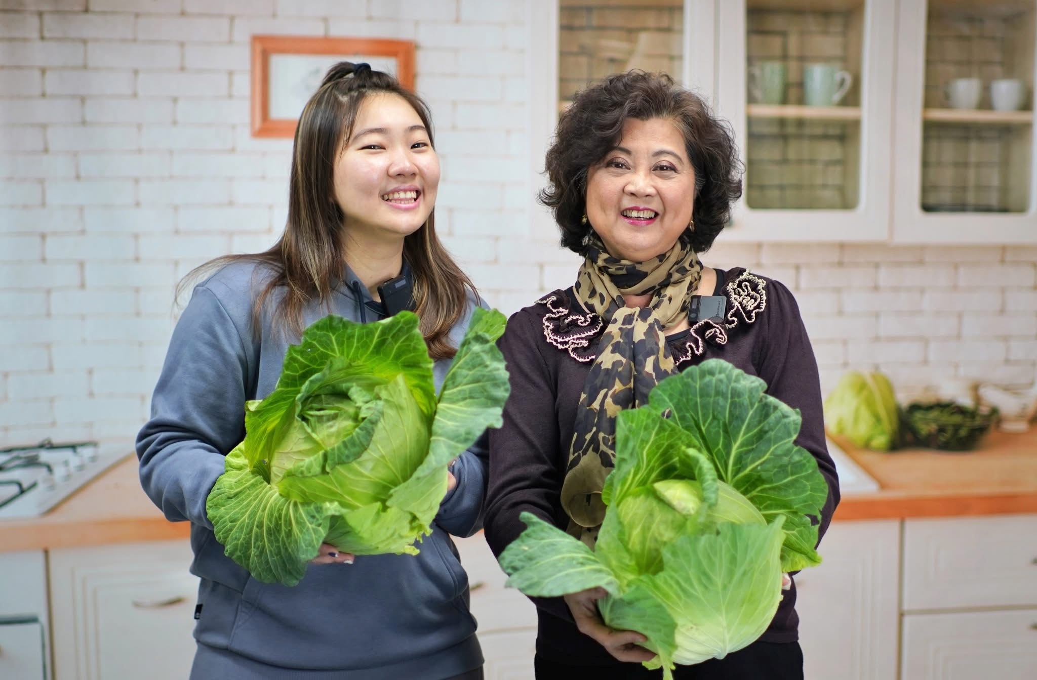 新北果菜公司透過共同運銷協助產地銷售高麗菜
