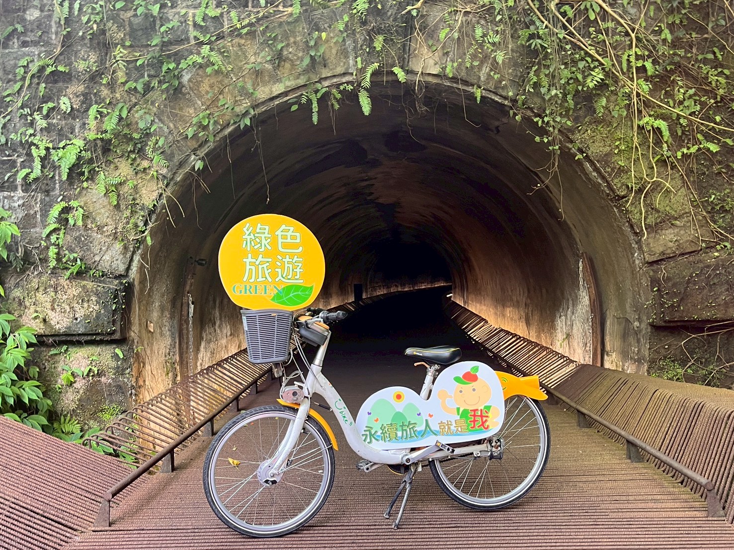  以步行或自行車等綠色運具造訪三貂嶺生態友善隧道，近距離感受山林環境與自然生態風貌。(圖為114年活動資料照)
