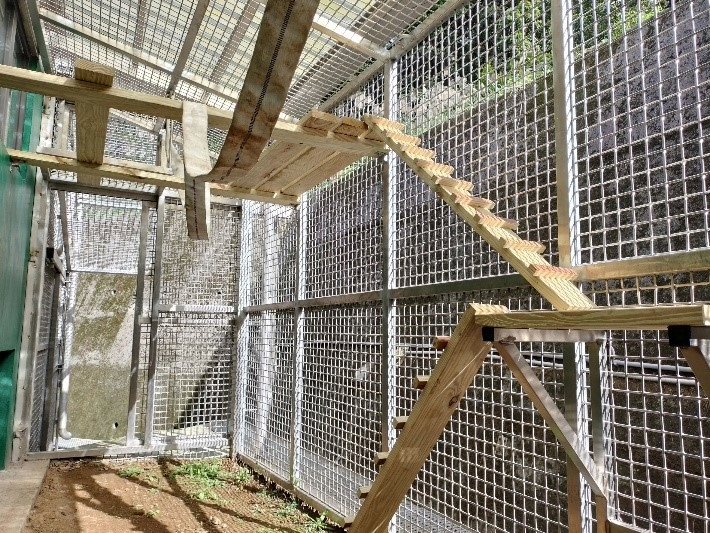  三芝動物之家小型哺乳動物空中廊道