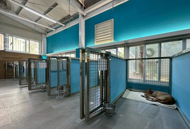 中和動物之家長照照護