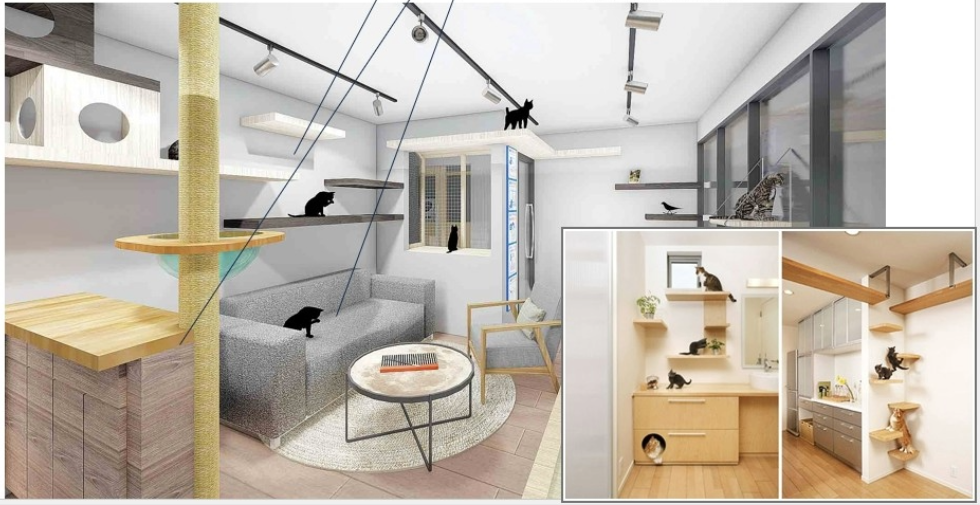  板橋動物之家首創貓友善環境空間示範區