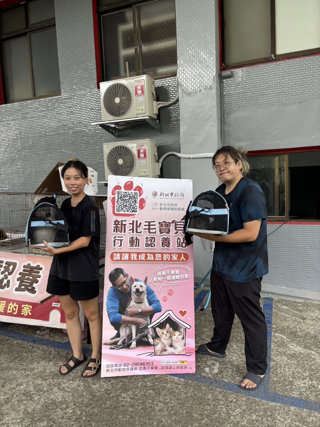  飼主不捨讓姊妹貓分離，2隻貓一起認養回家