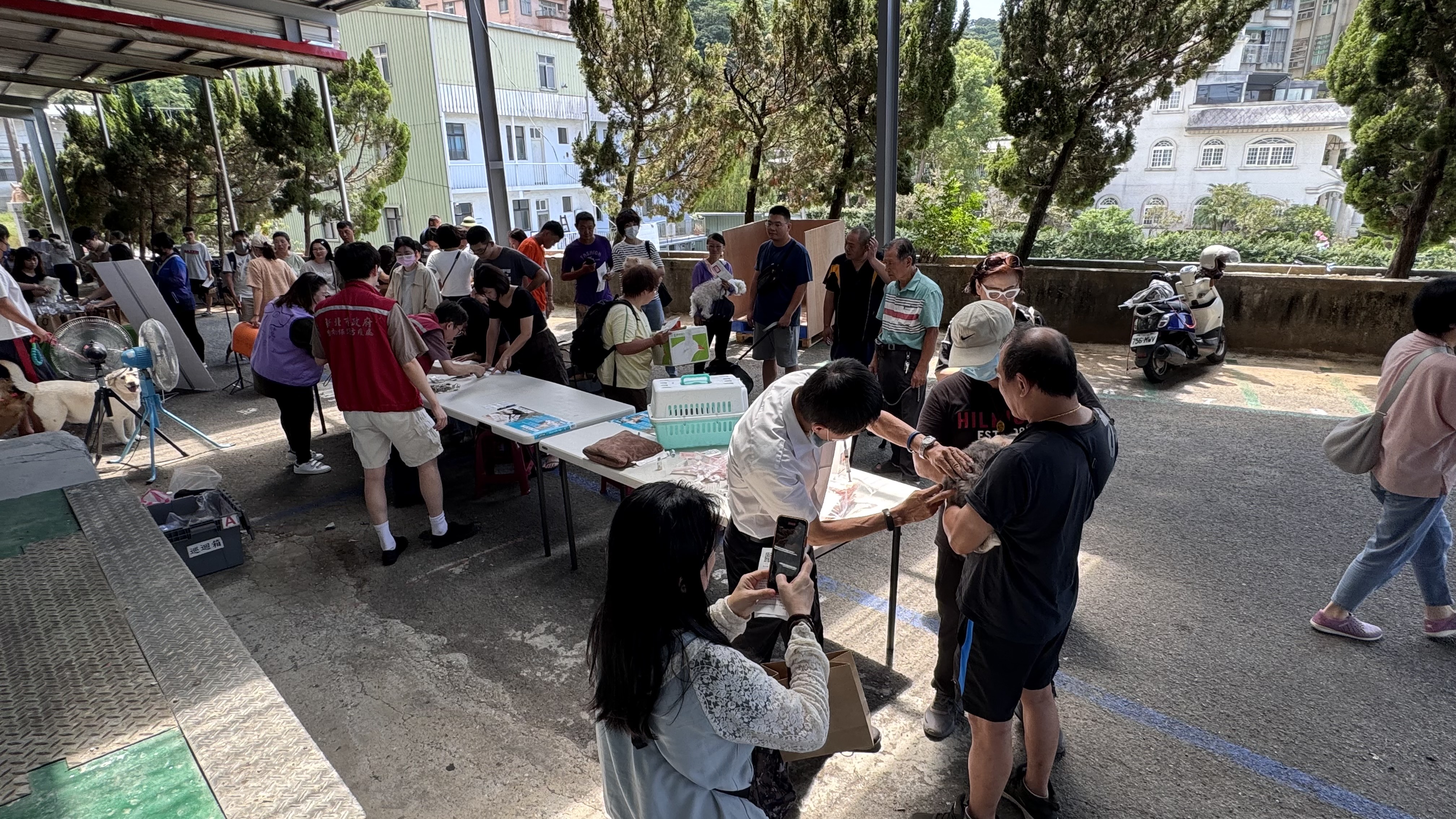  活動現場提供免費狂犬病疫苗及晶片注射