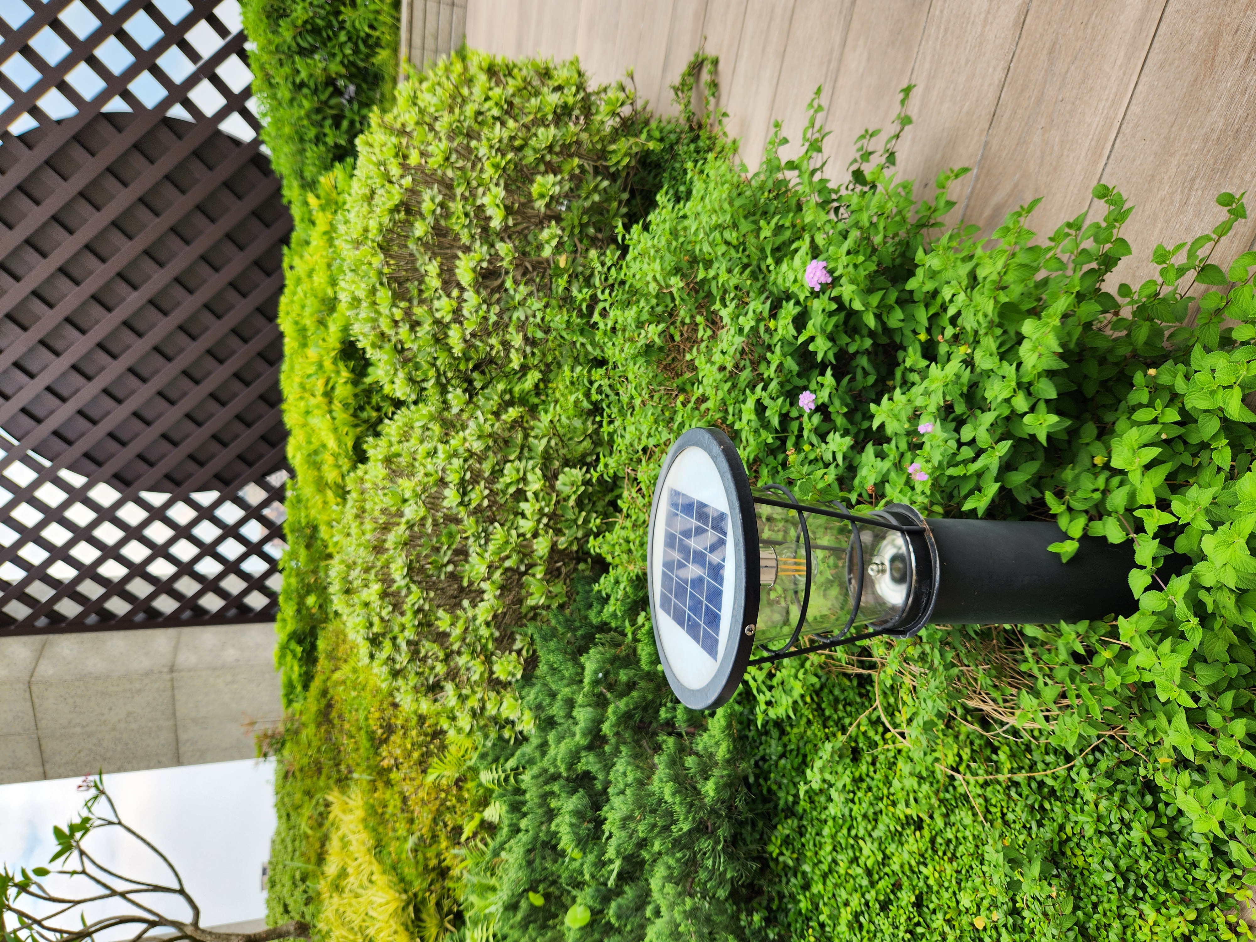 社區公共區域使用太陽能庭園燈，善用再生能源，節省夜間電費使用