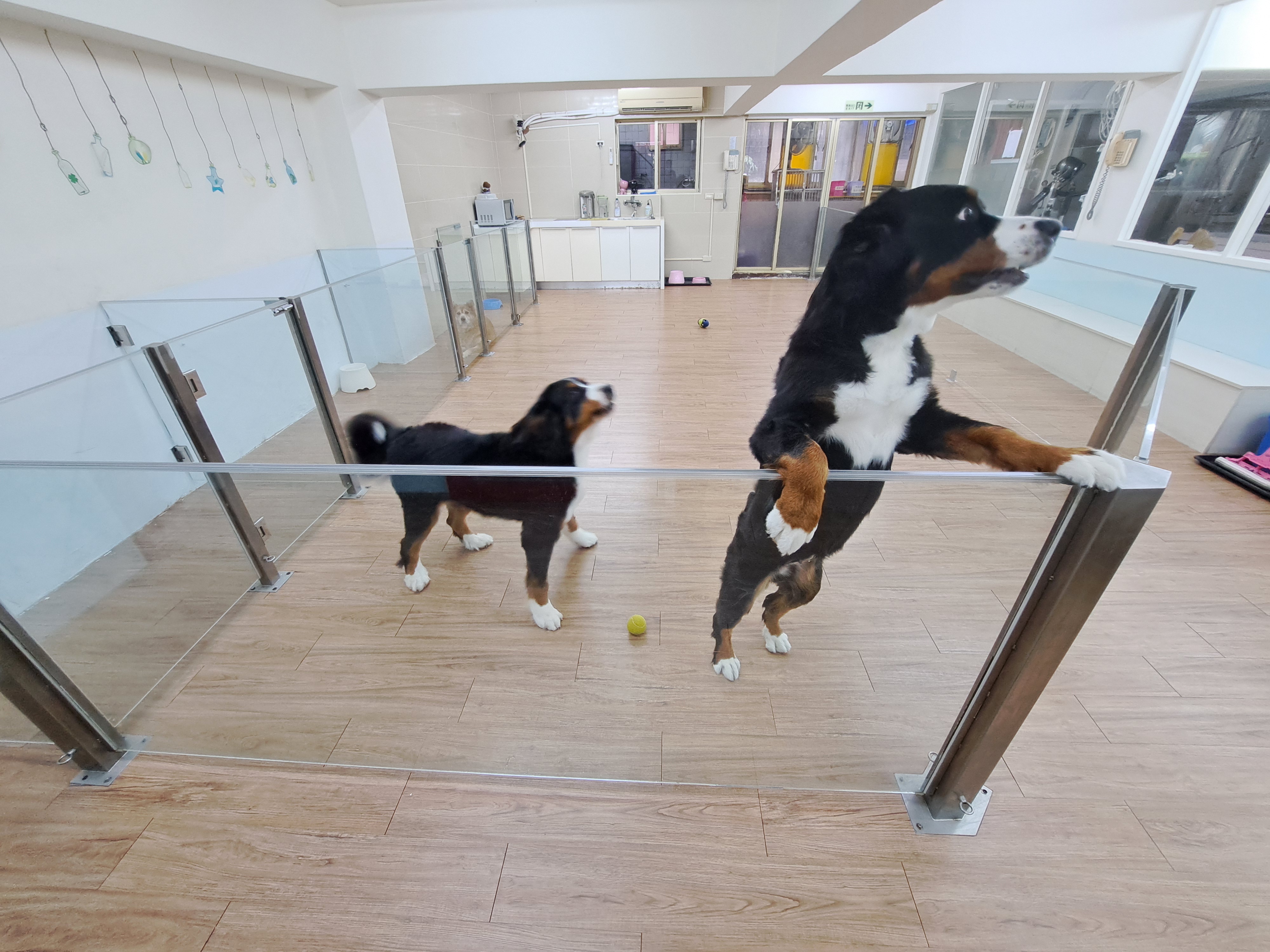  住宿良好的運動空間