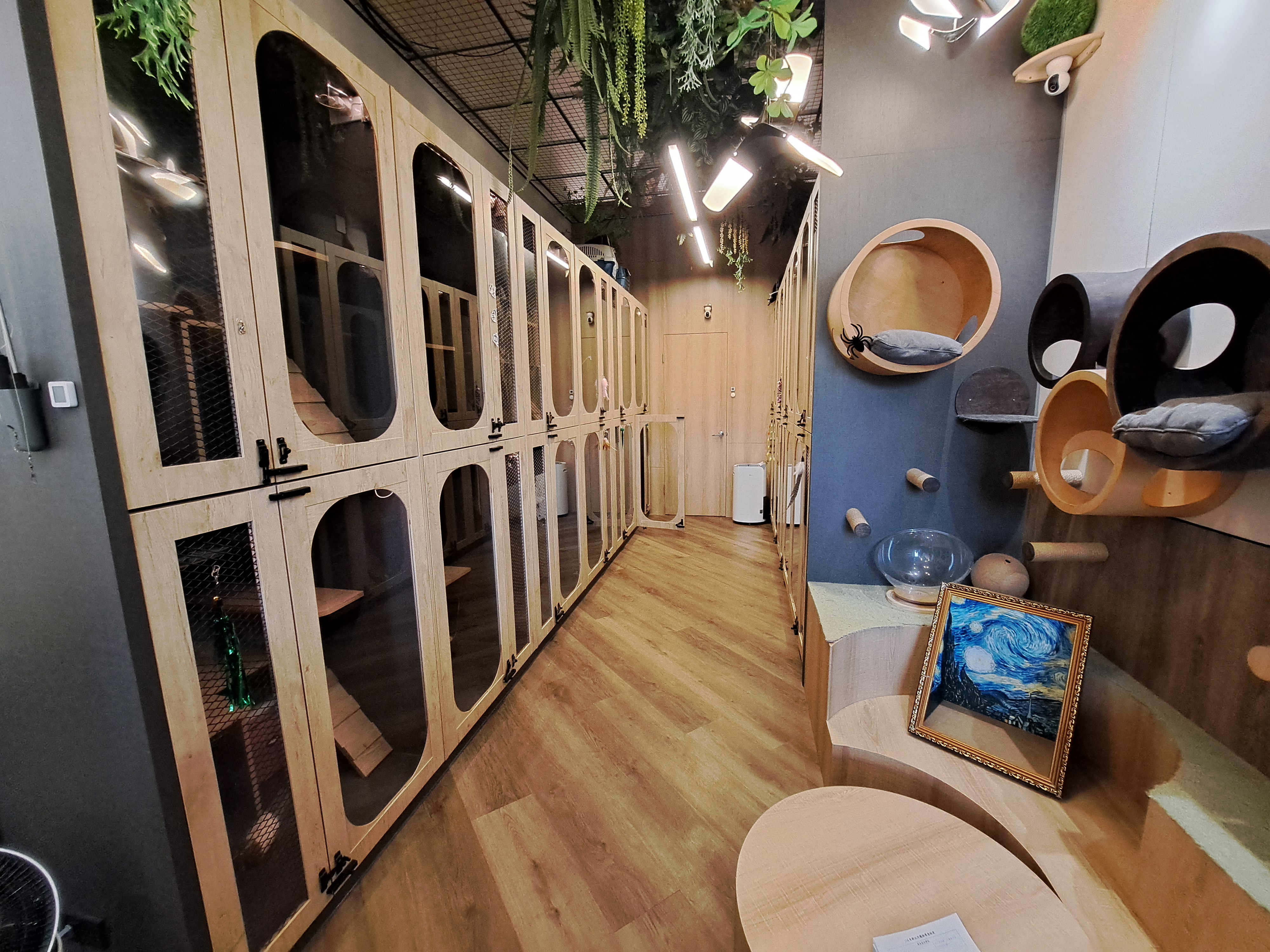 乾淨良好的飼養空間