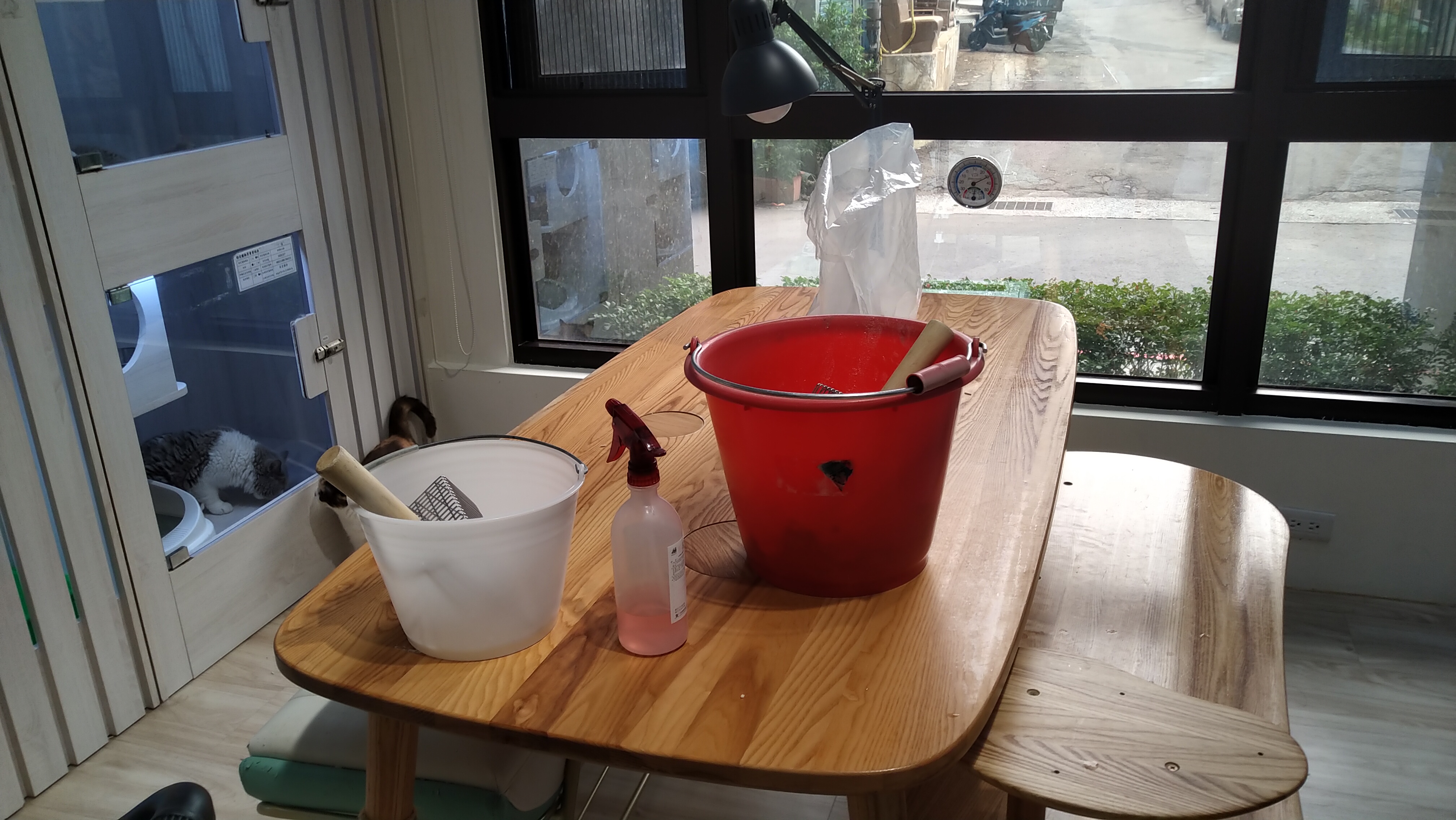  每日定時的清潔與消毒