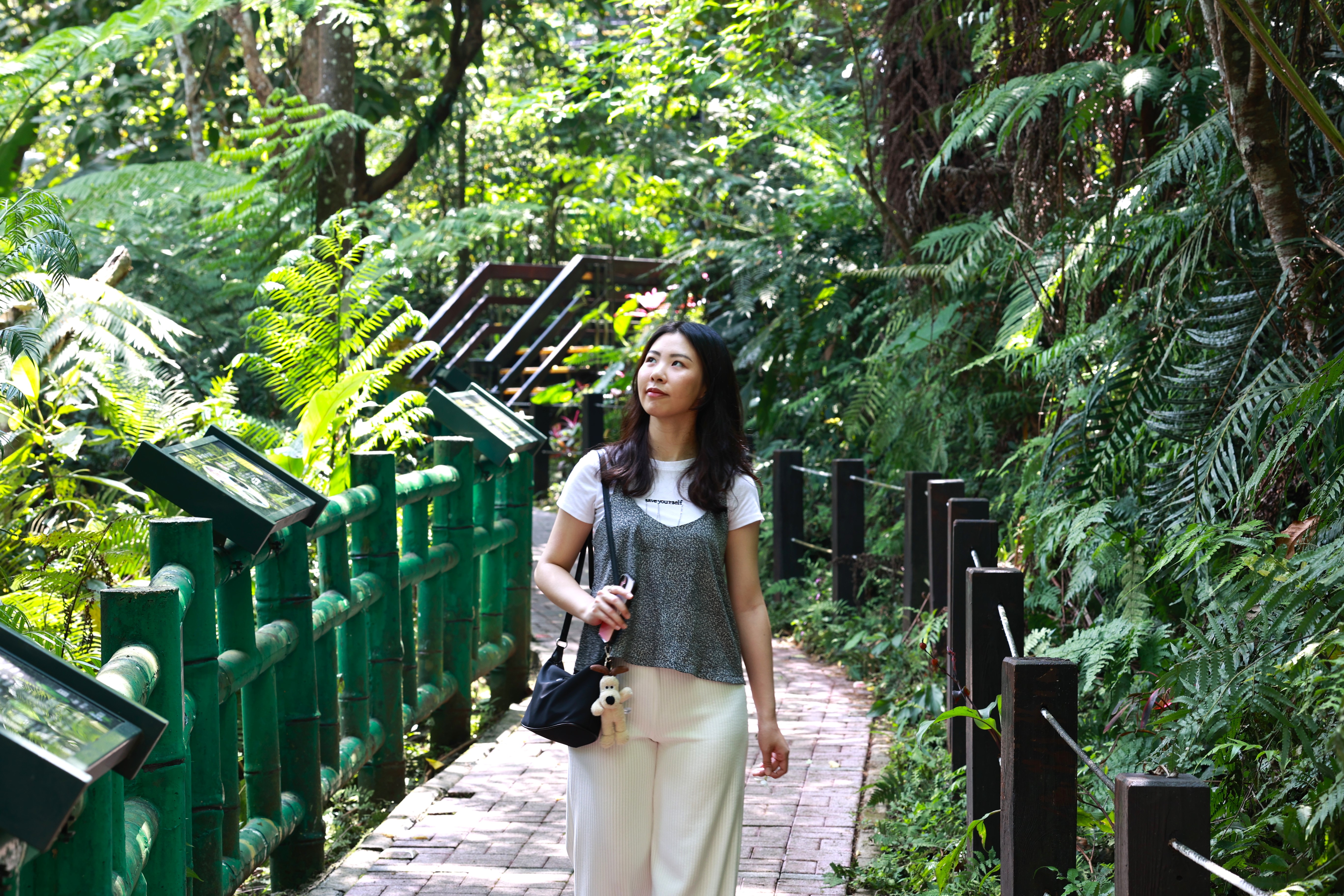  土城太極嶺與桐花公園周邊步道綠意環繞，適合春節期間闔家健行。