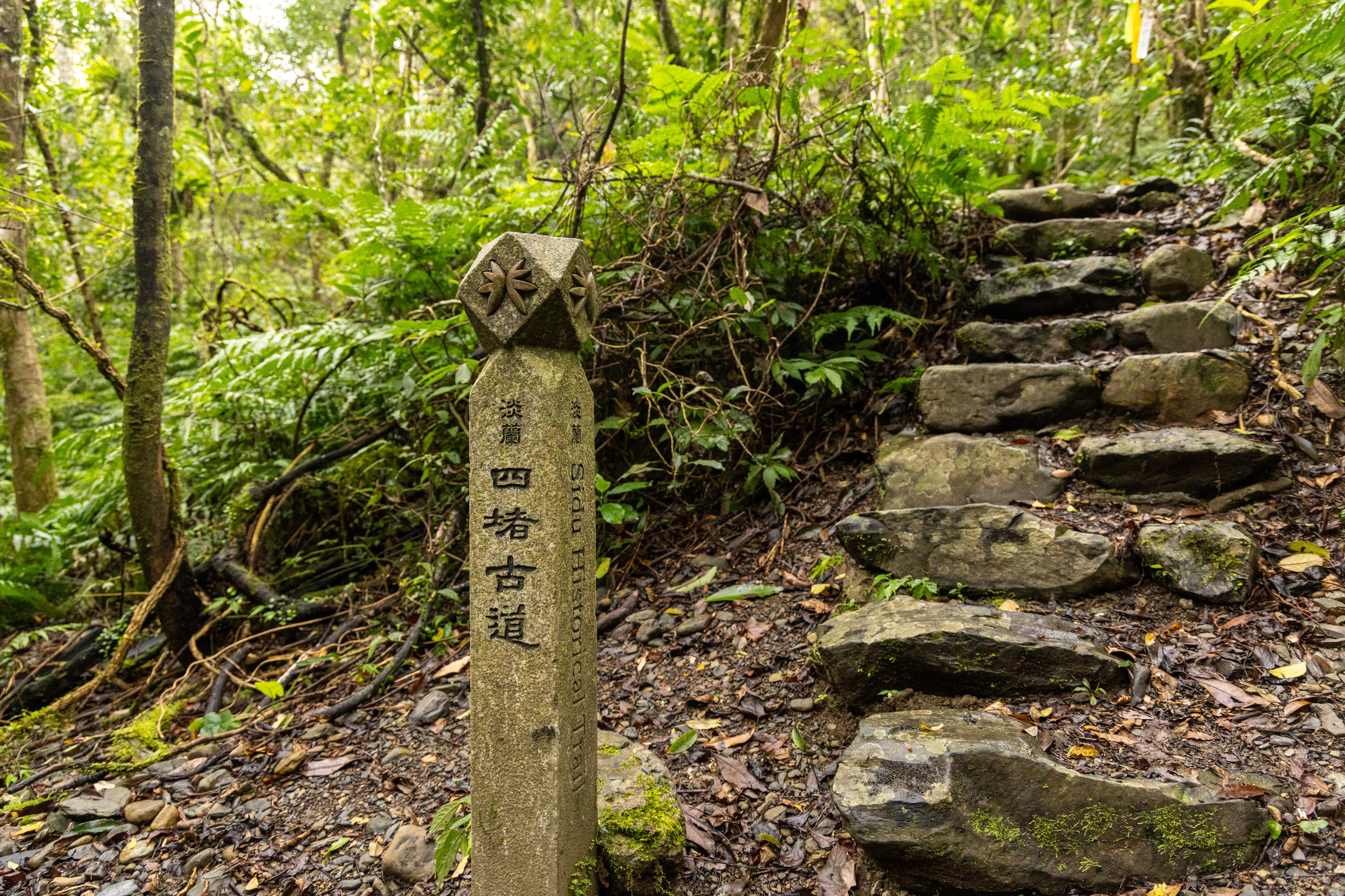 淡蘭古道南路坪林段保留古道石階與自然景觀，行走於茶鄉山林間，在春節假期中感受歷史人文與自然交織的慢活氛圍。