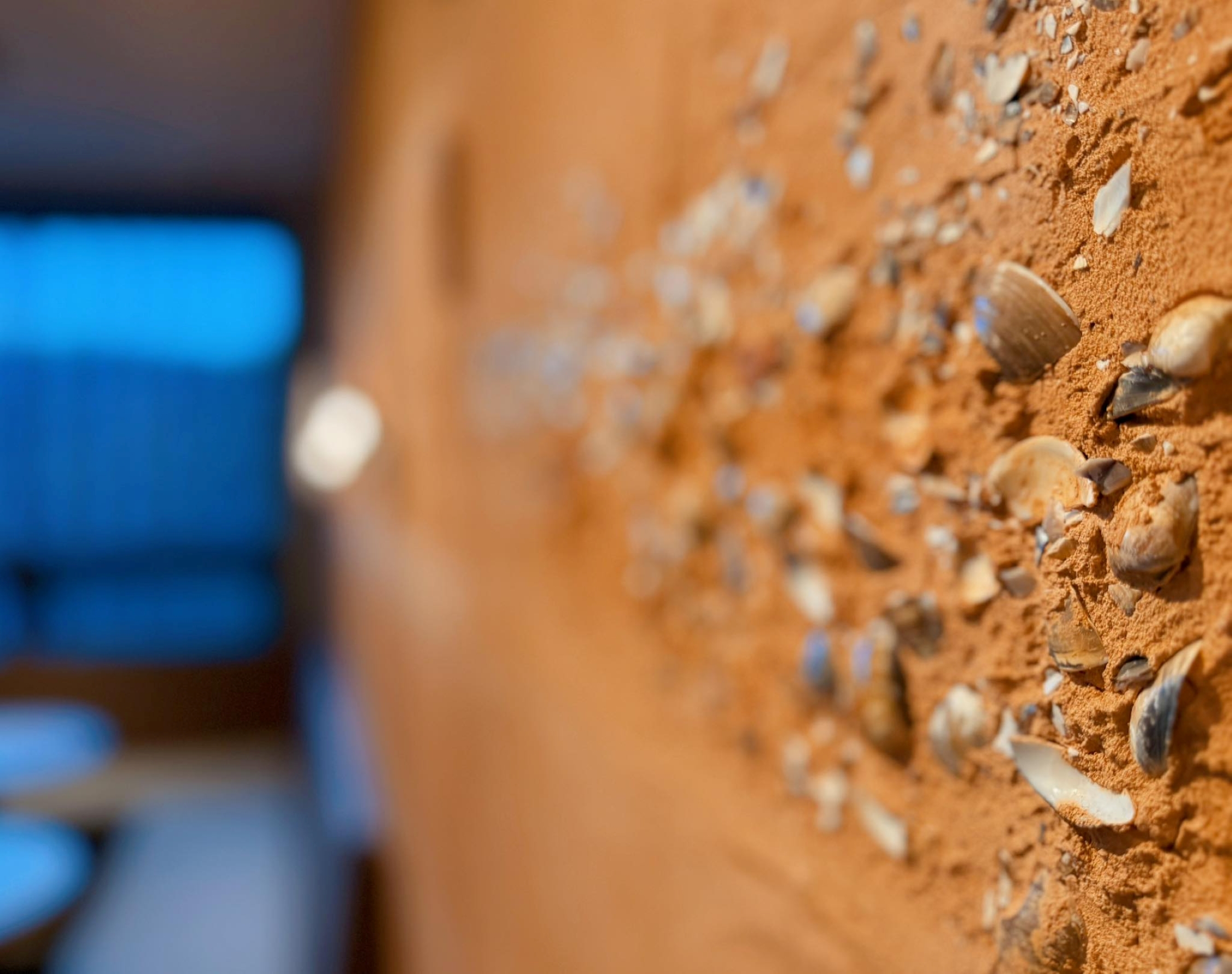 牆面選用苗栗黃土與桃園紅土混入文蛤殼與陶片，手工鏝抹出文化層肌理