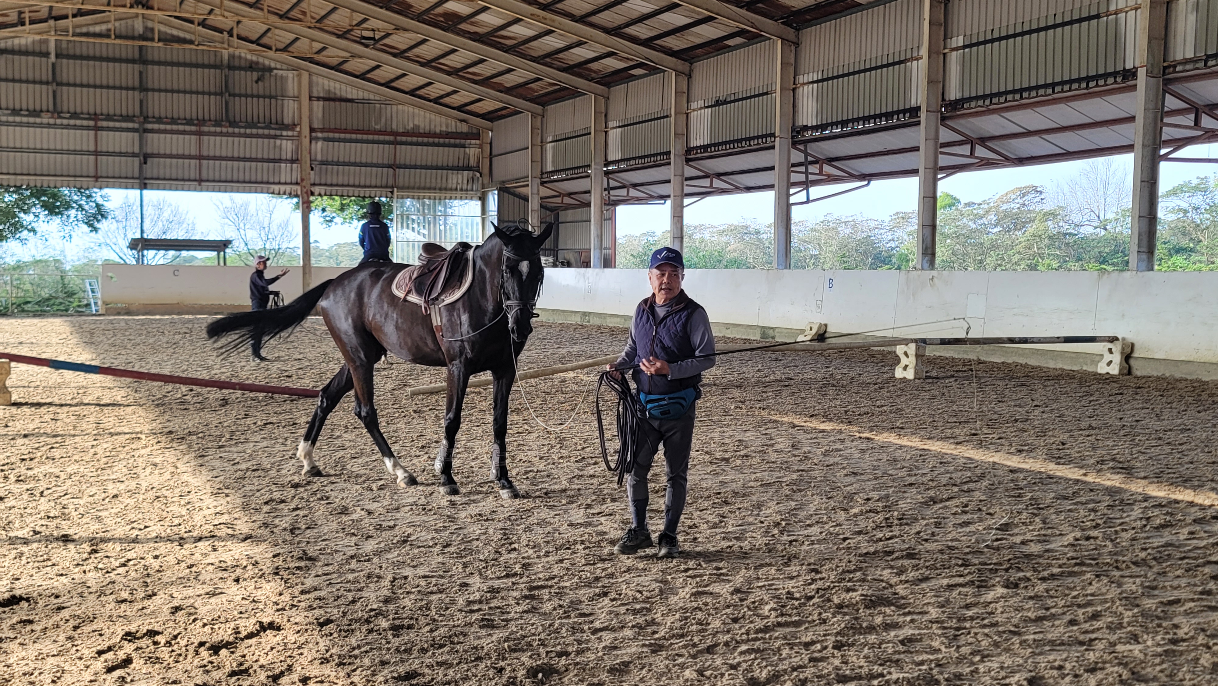 全年無休訓練及照護馬匹