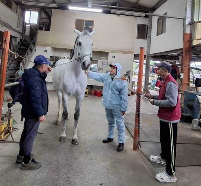  特約獸醫師協助疫情訪視