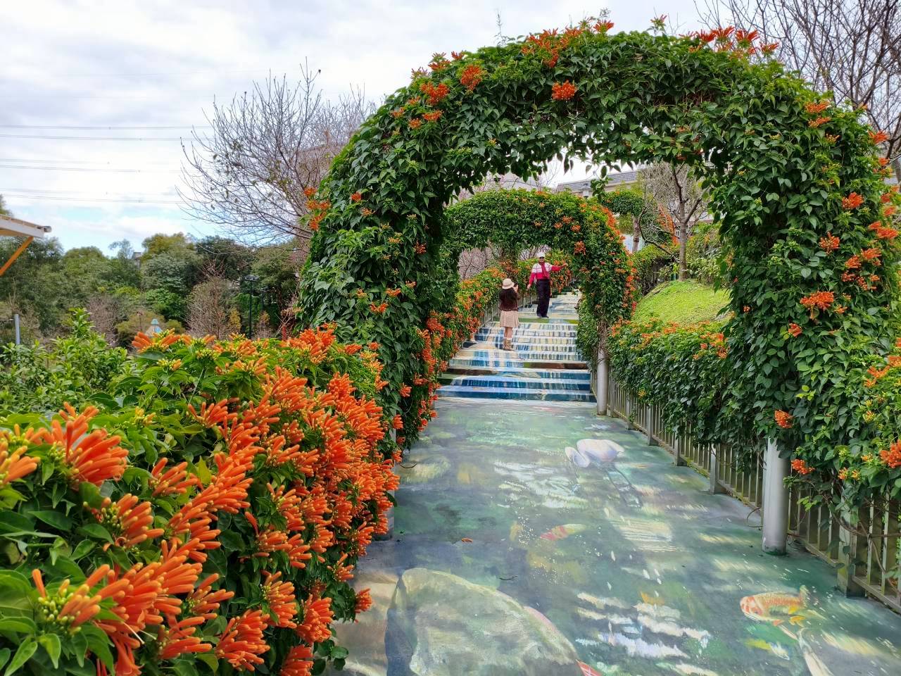 永吉公園串串橙紅炮仗花即將蓄勢待發綻放，如同迎春的鞭炮，象徵喜氣與祝福