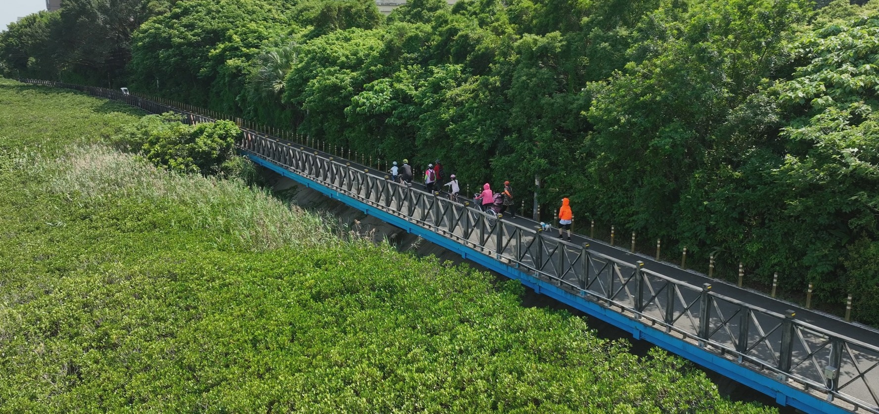  八里左岸騎乘自行車飽覽淡水河岸風光