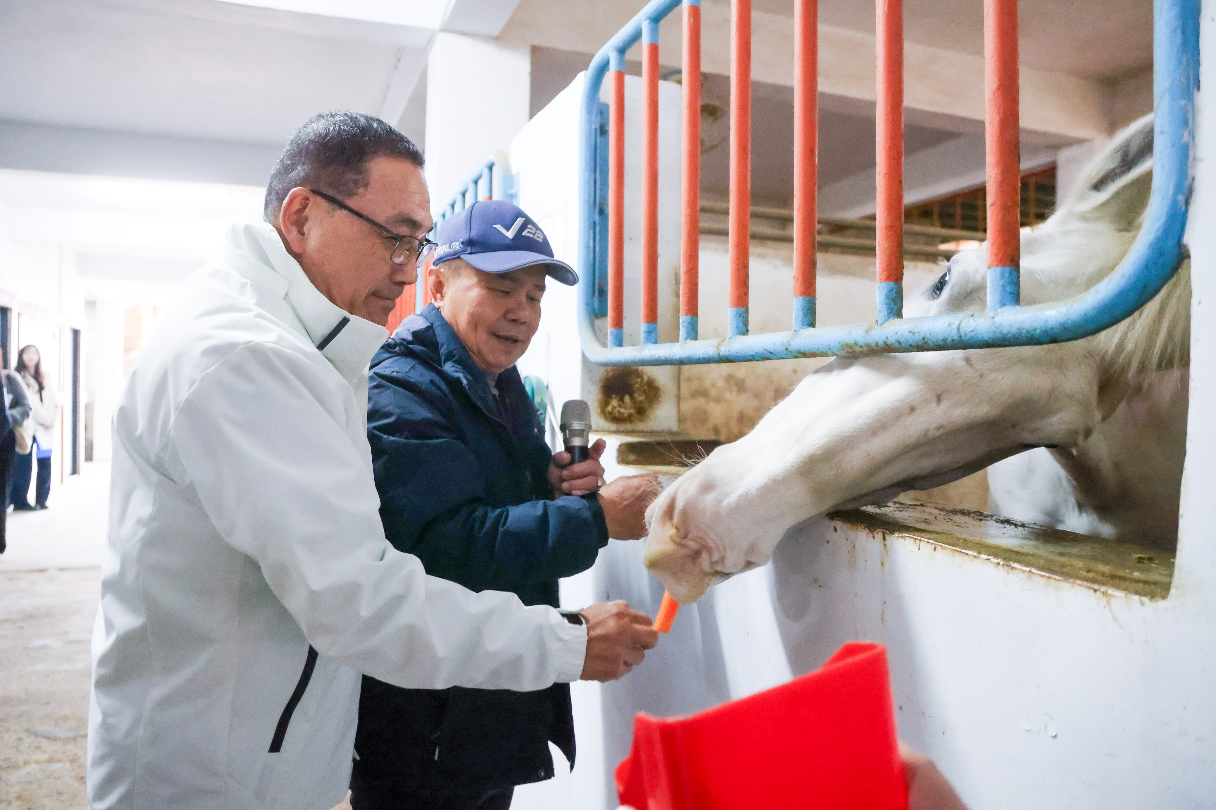 新北市長侯友宜與「卡通」近距離互動，他表示，充分感受到騎警隊員與警馬透過日常互動培養默契的重要性。