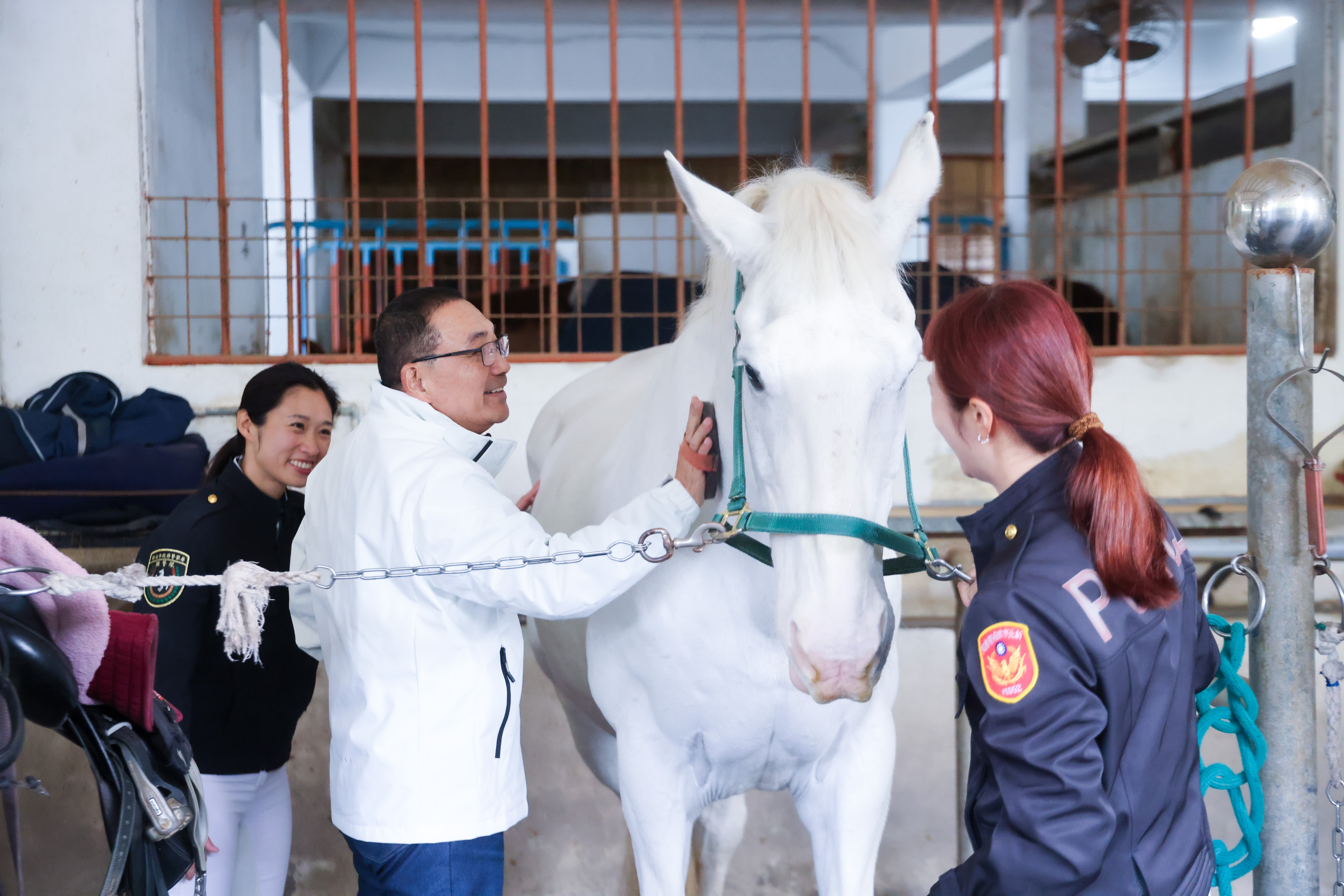 侯友宜化身一日騎警隊員，親自為當日的警馬夥伴「卡通」進行出勤前整備工作。