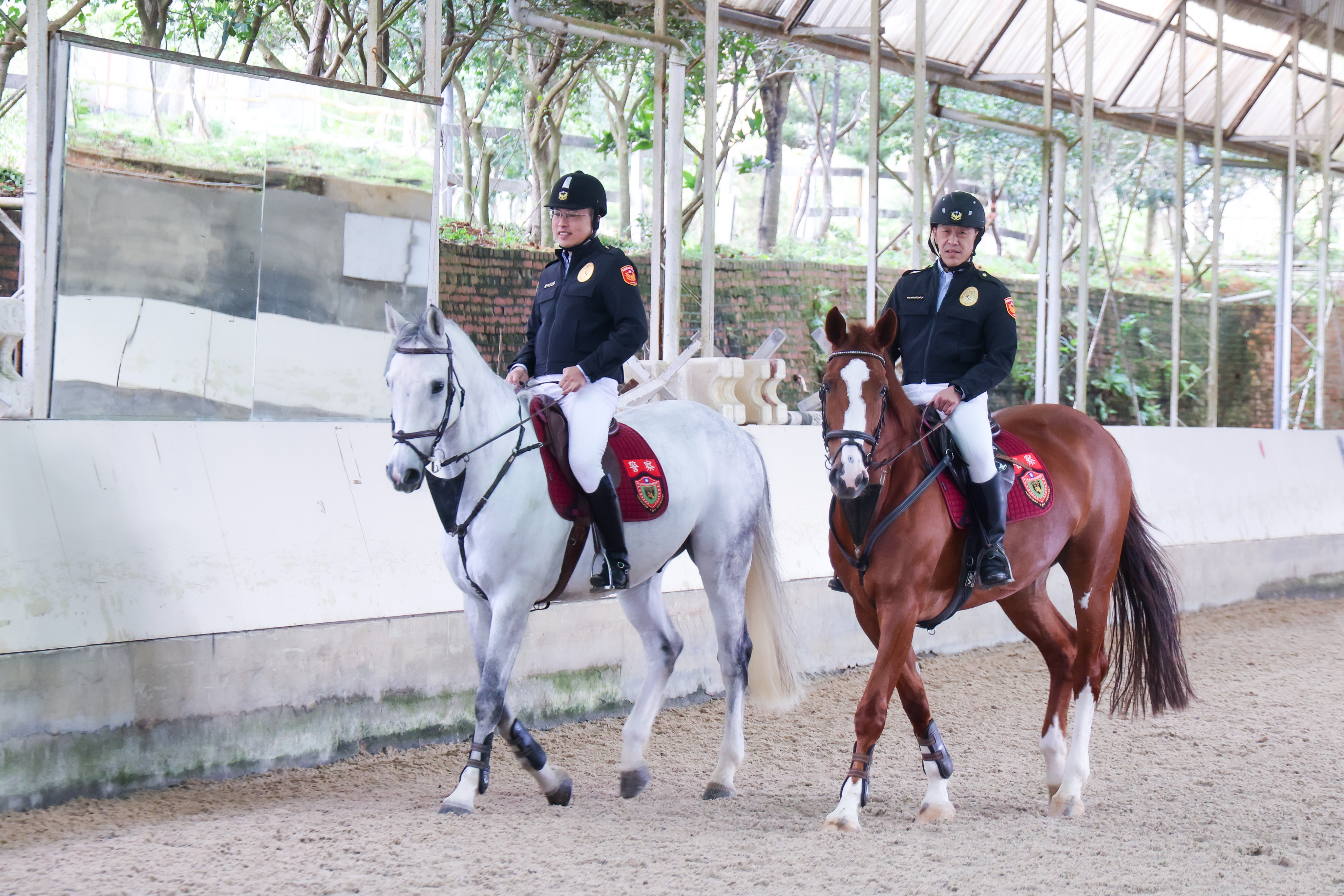 新北市政府警察局騎警隊是新北治安建構全方位防護網的一環，也是提升國際形象與促進警民關係的重要大使。