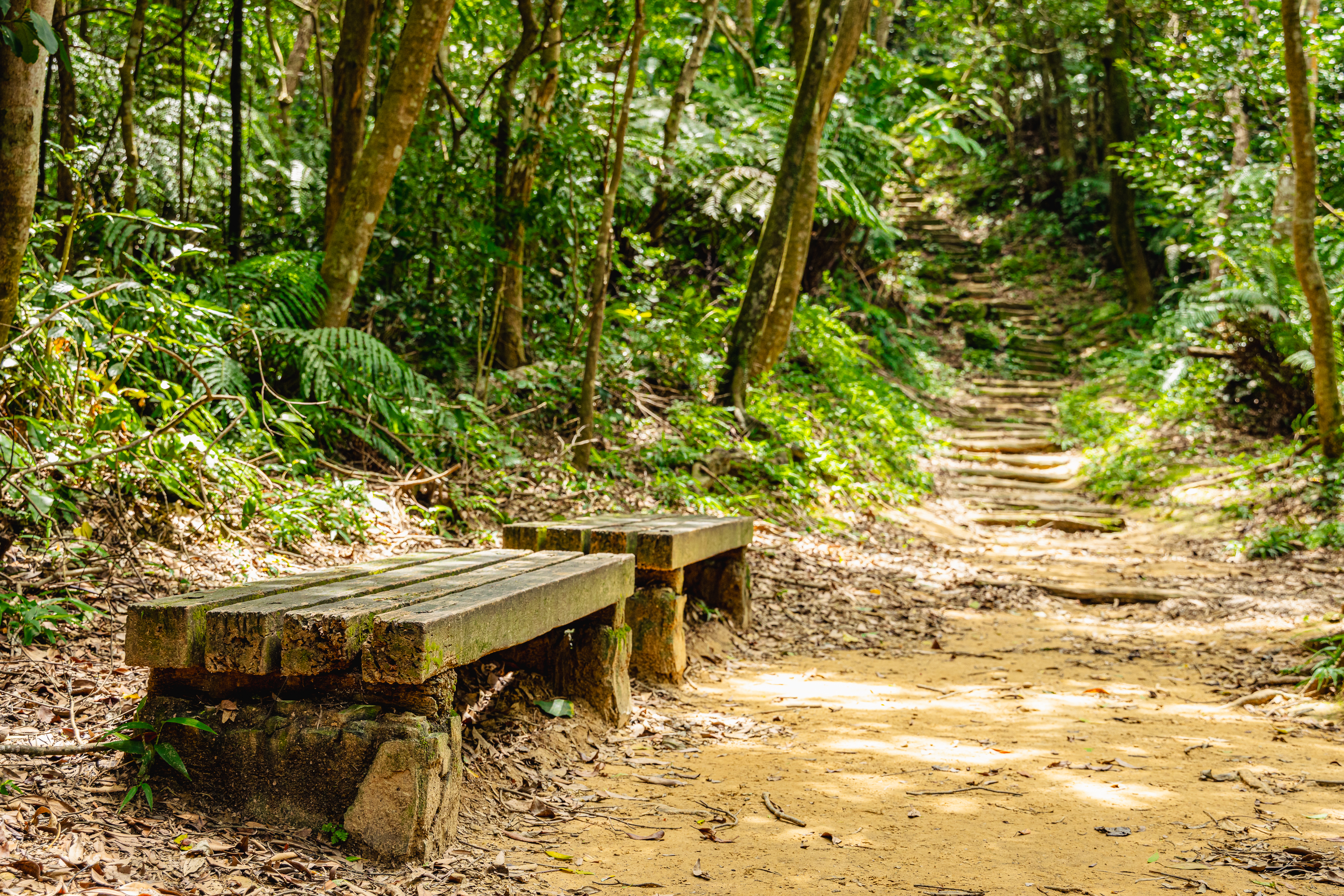 邀請名民眾一同走進茶山古道，放慢腳步、打開五感