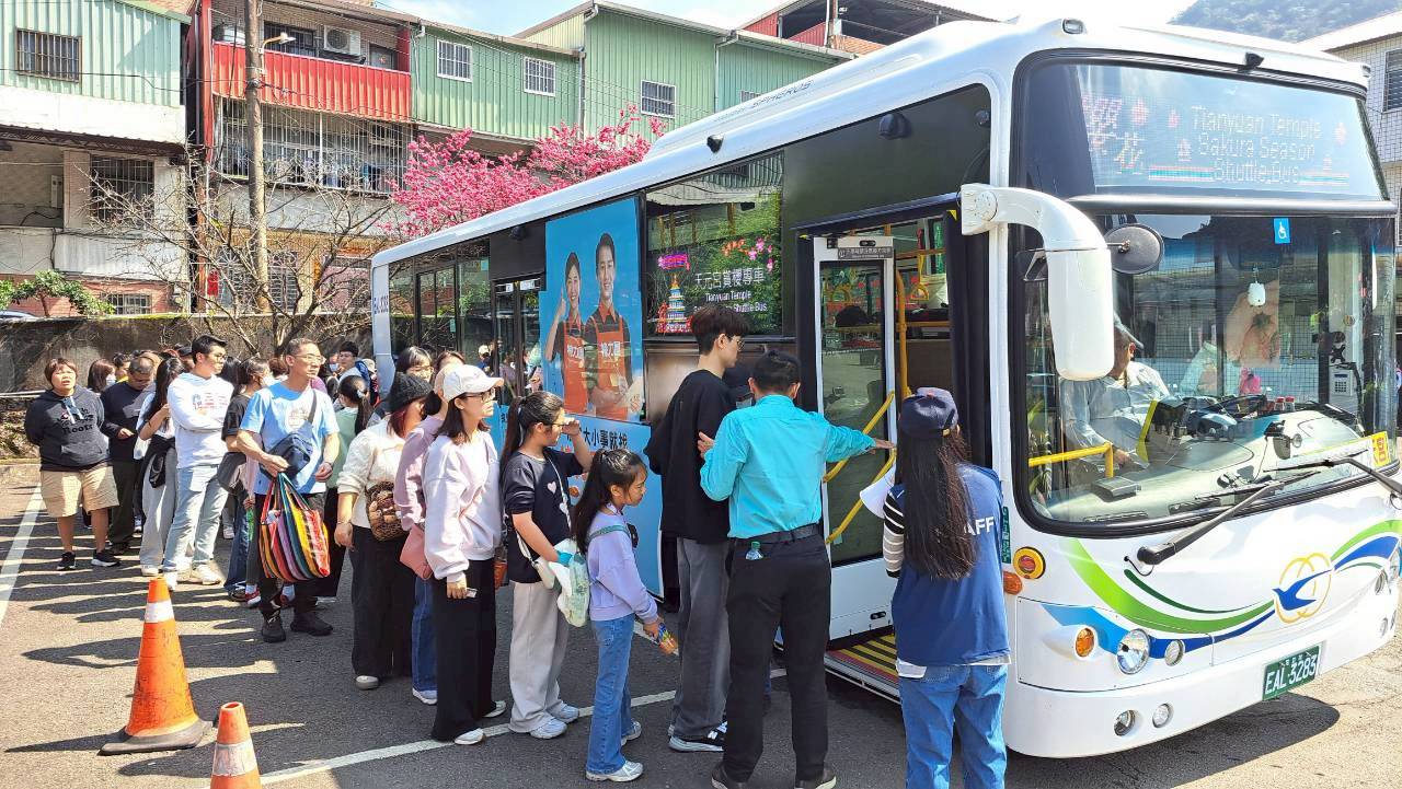 淡水天元宮櫻花專車