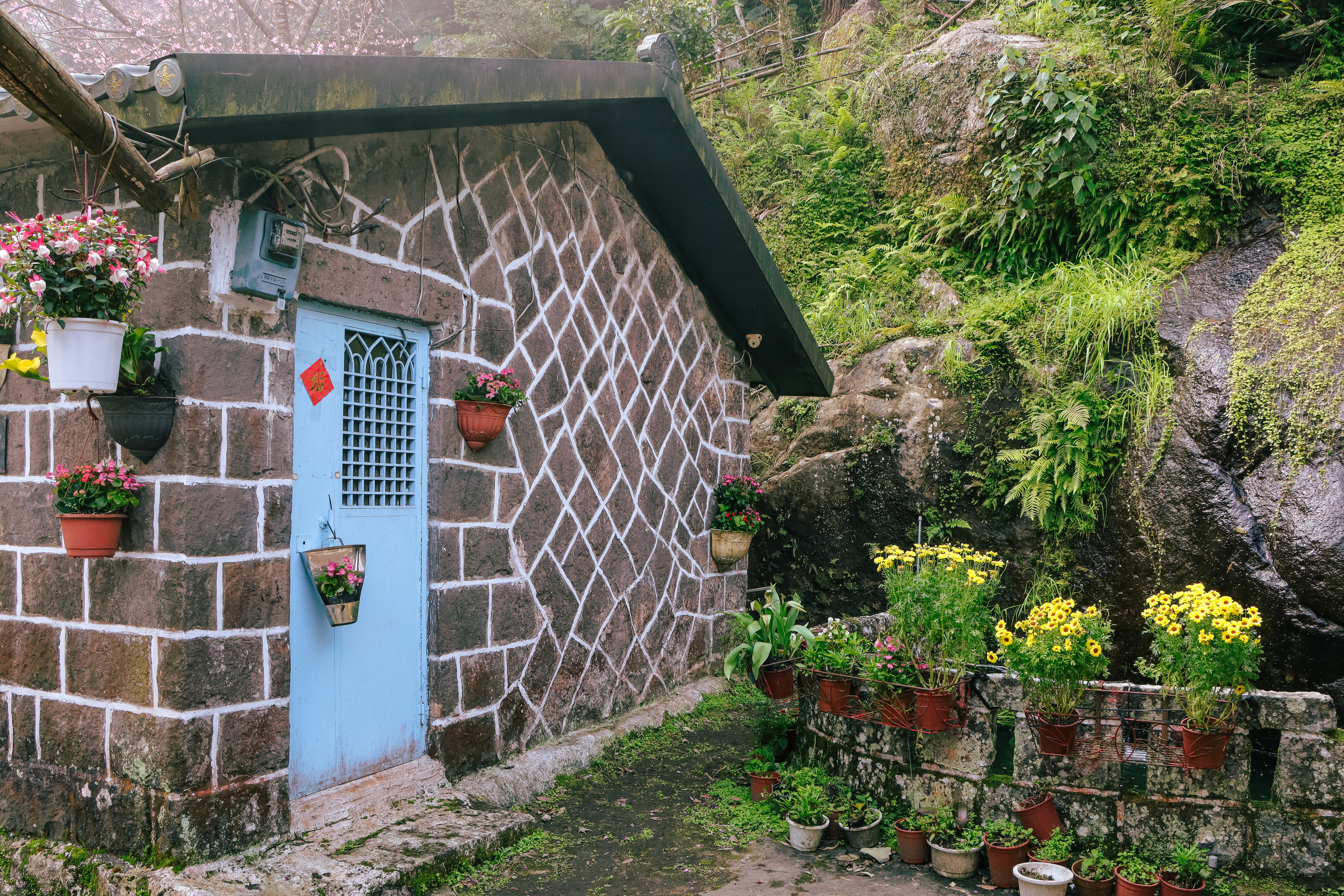 楓樹湖步道石頭屋靜立山林間，景色恬靜迷人。