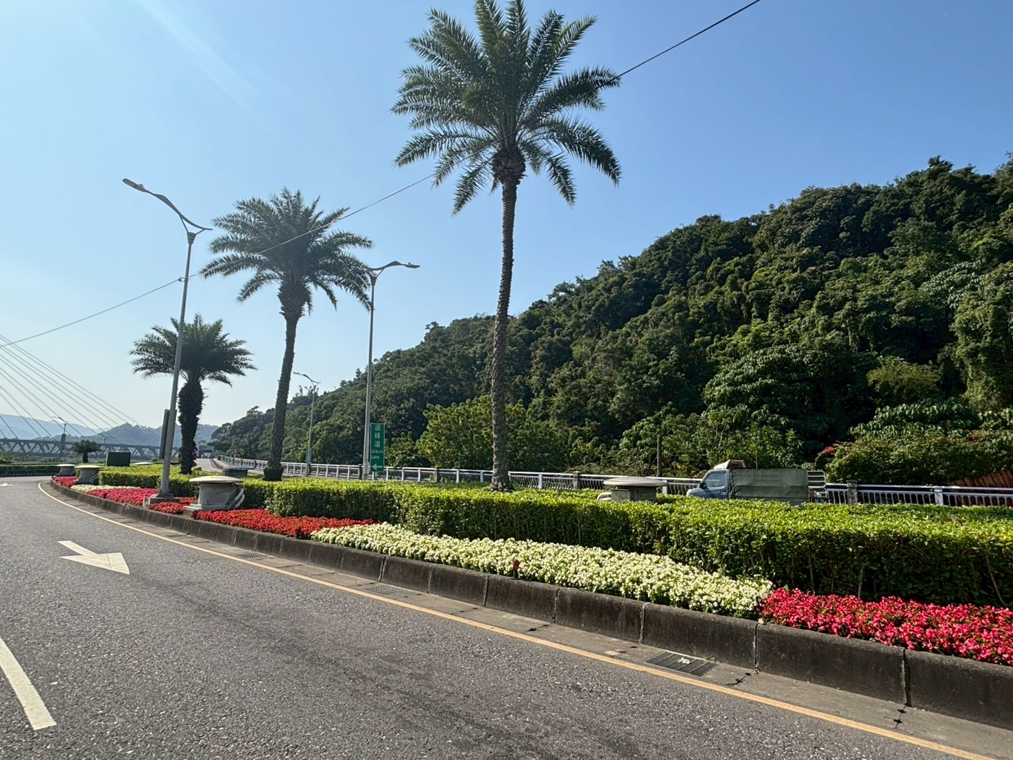 市區周邊道路百花綻放，為春日與當季節慶增添豐富市容景觀